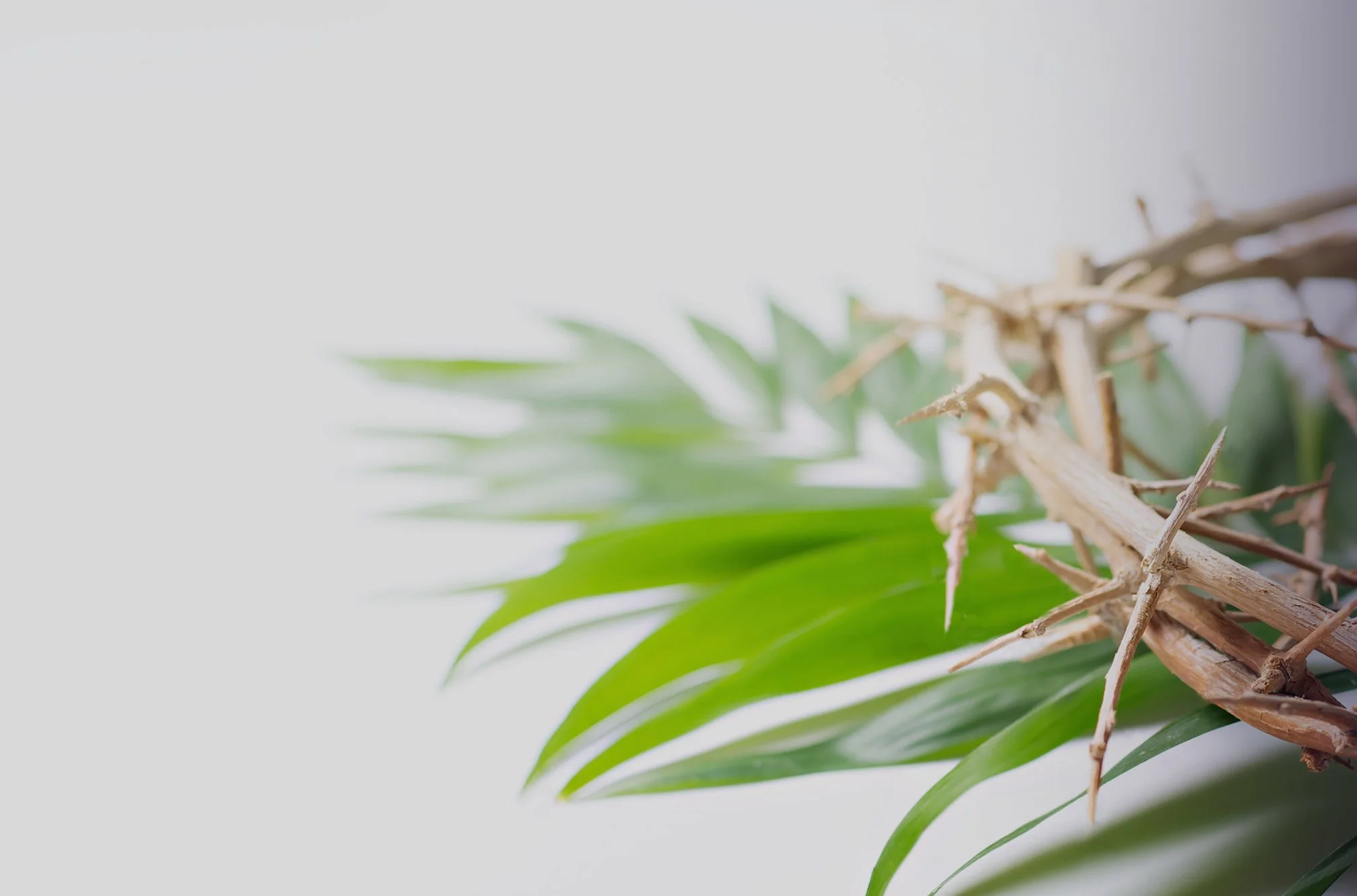 fumc hp marq  lent 2026 c.jpg