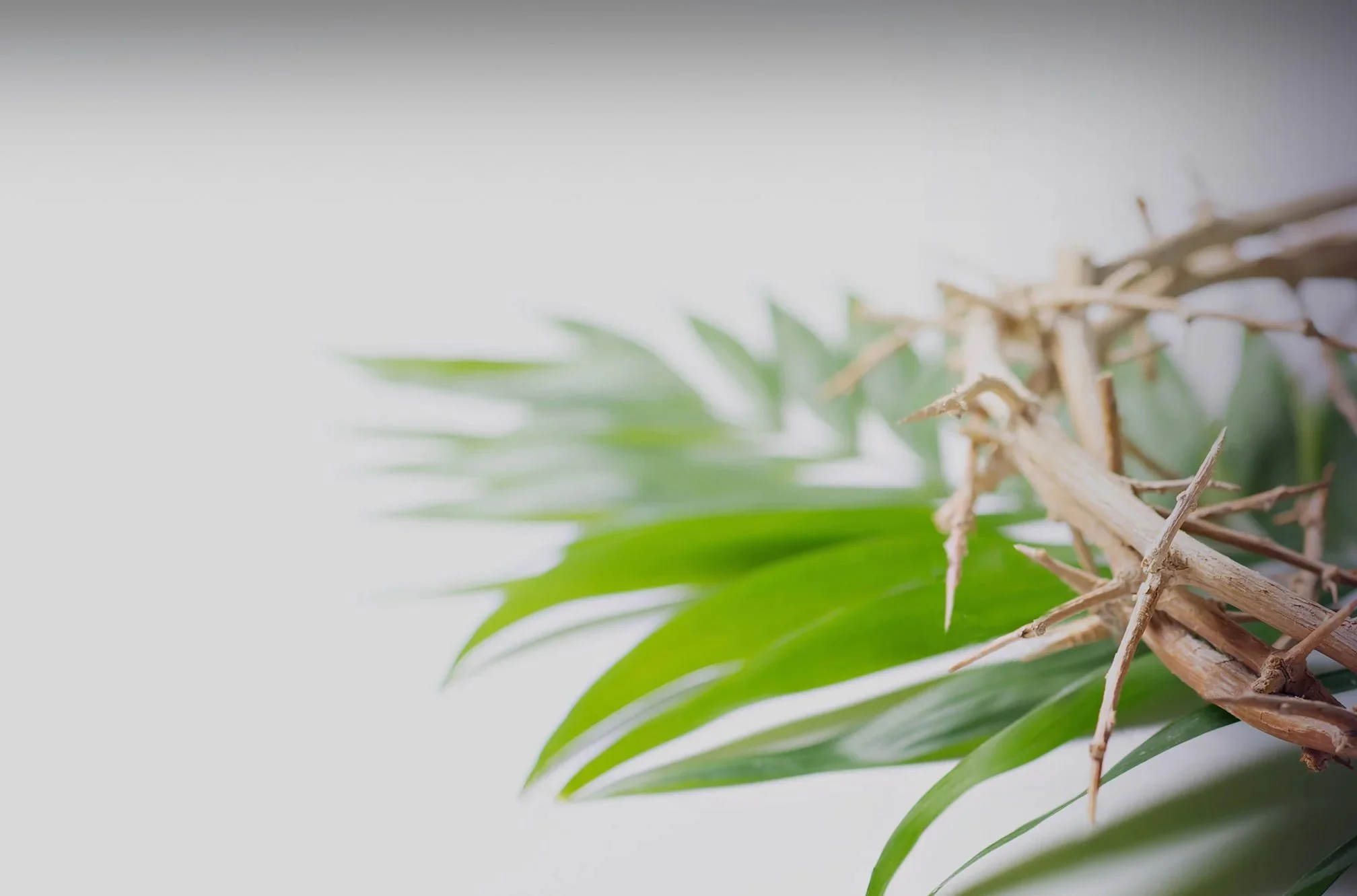 fumc mq background lent g.jpg