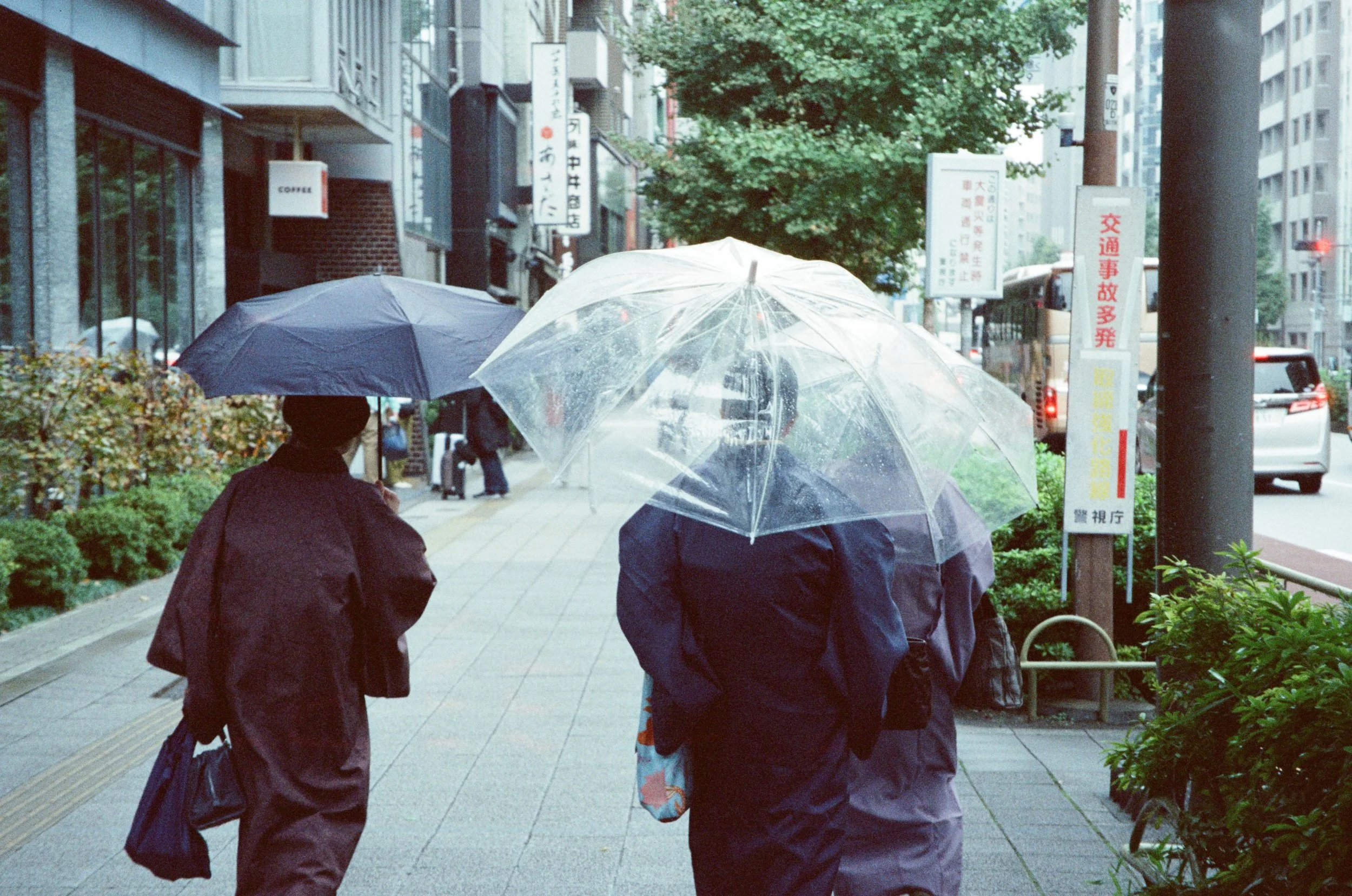 Adobe Express - file (6).jpg