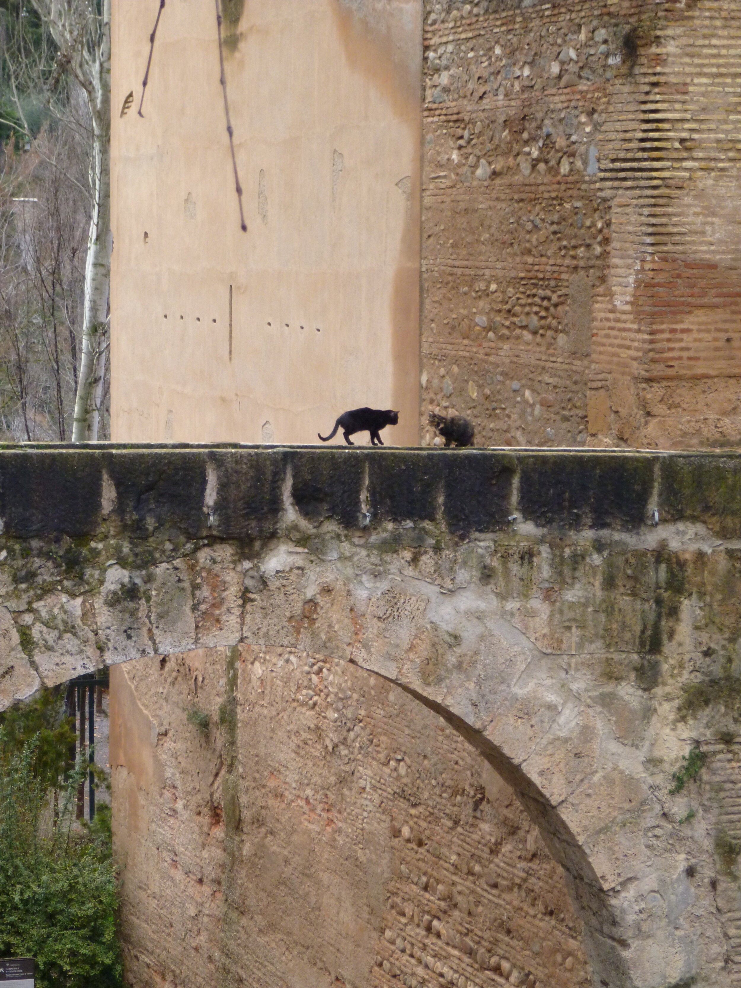 P1000653.JPG