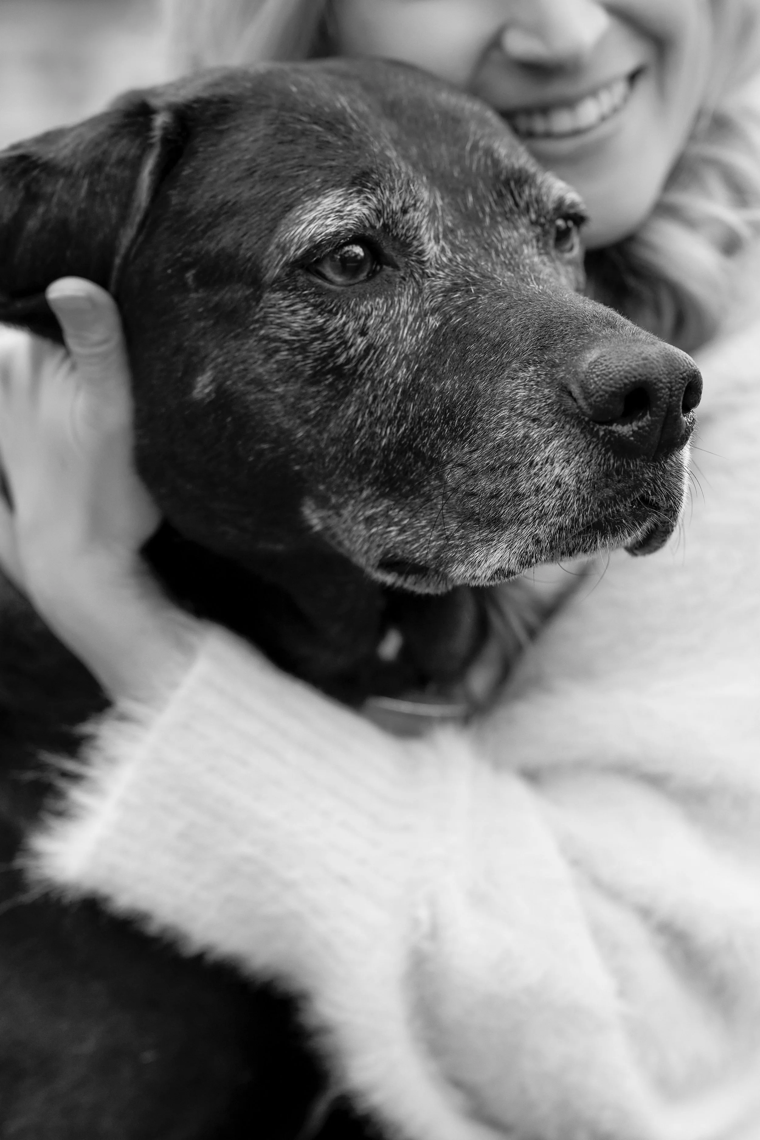 20250120_Laney-10.jpg