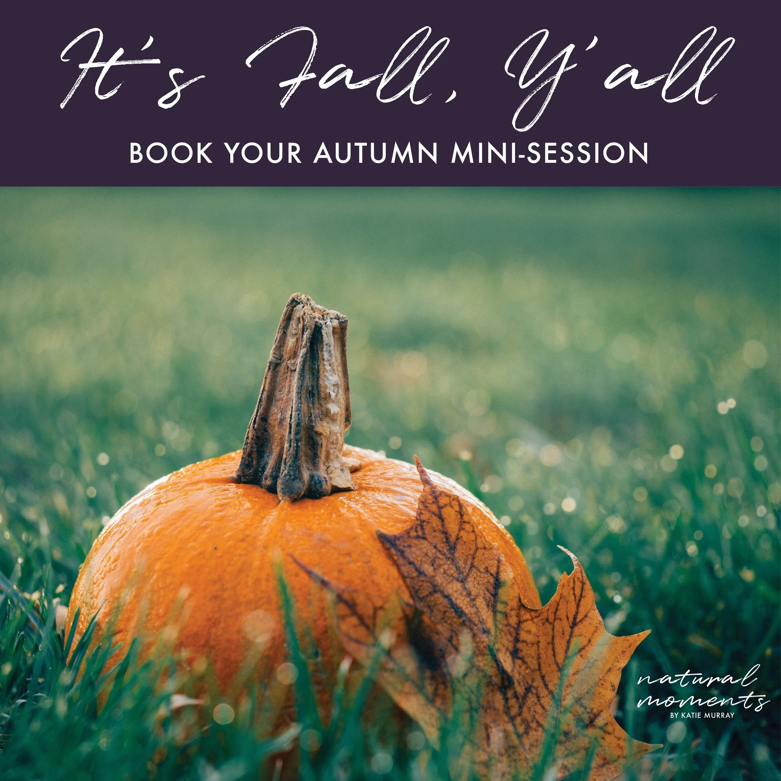 IT’S FALL Y’ALL