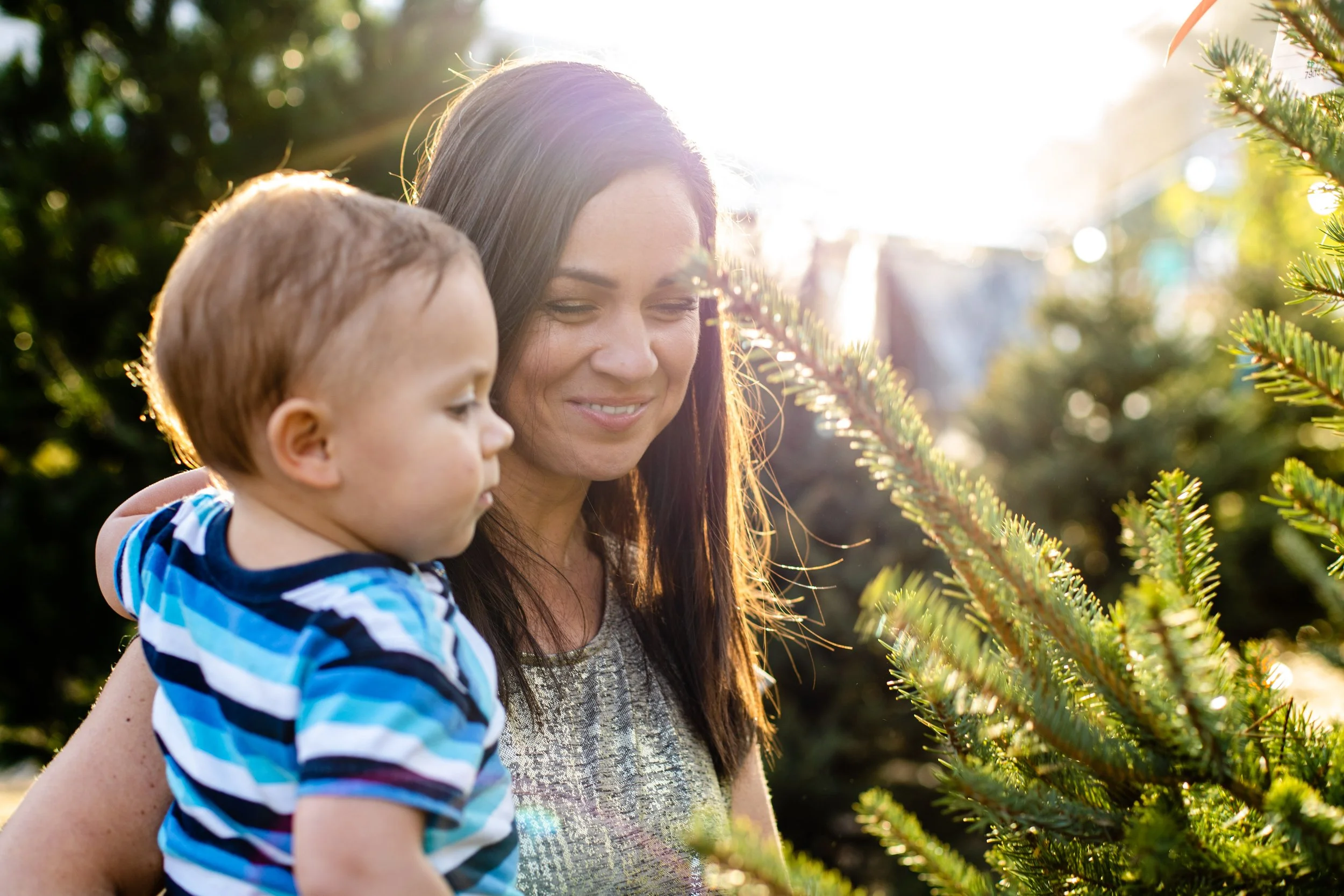 A woman holding a young boy outdoors near Christmas trees, with sunlight shining behind them.