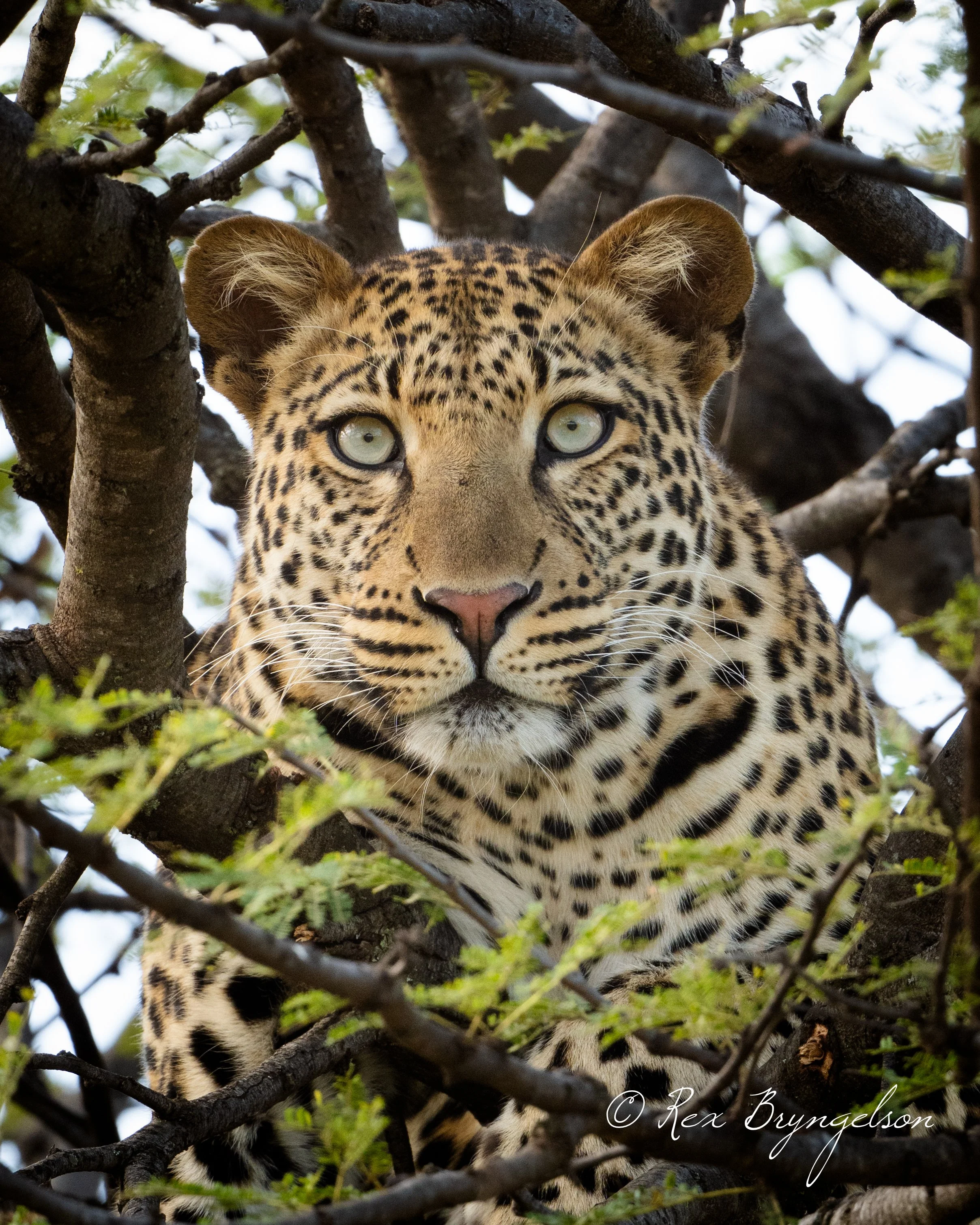 DSC_4791.jpg