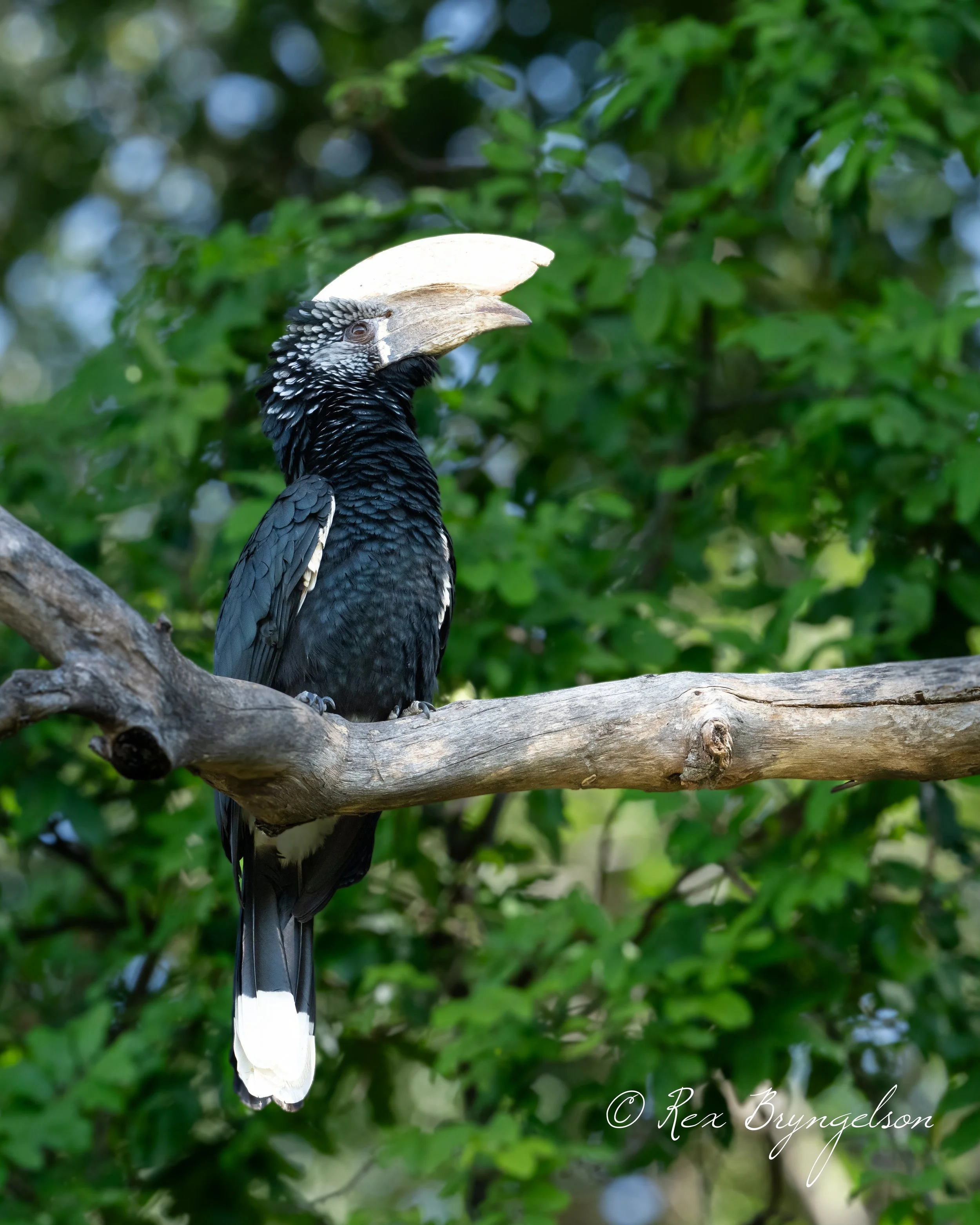 DSC_2913.jpg