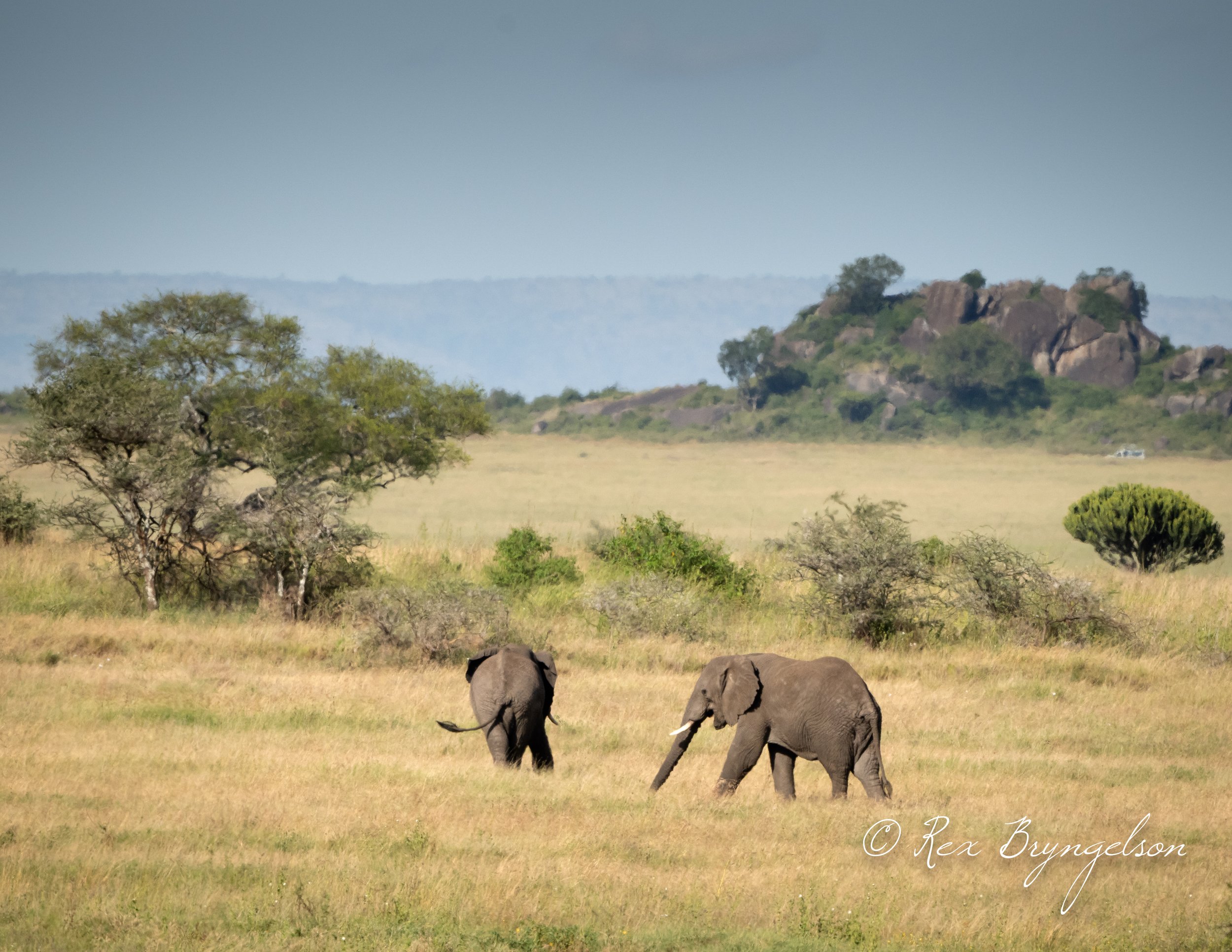 DSC_5086-2.jpg