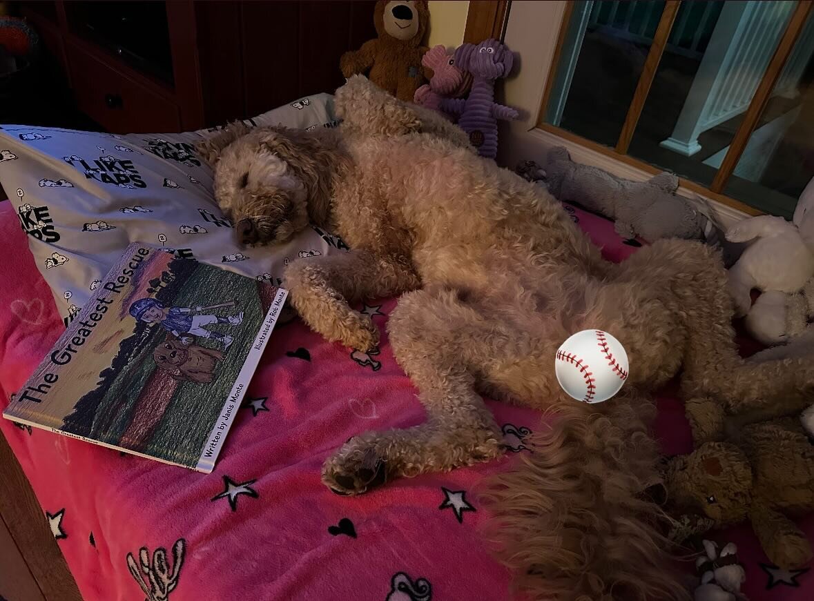 Charlie&rsquo;s favorite bedtime story will help everyone get a great nights sleep.  See link in bio for buying options. Stay tuned for upcoming book tour events at ballparks and breweries throughout the northeast.  Bring your pre purchased copy or b