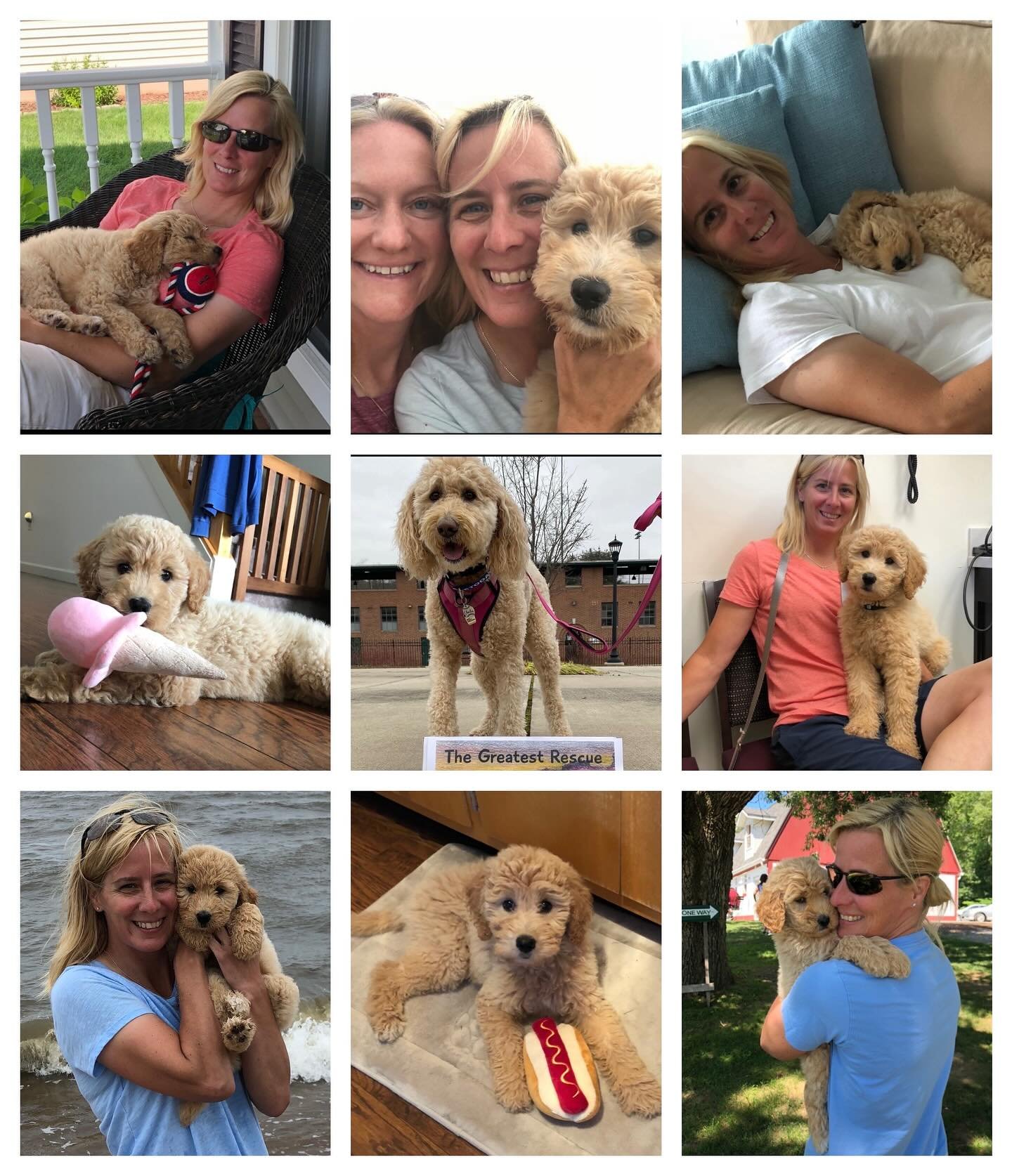 Happy Gotcha Day to &ldquo;the greatest rescue&rdquo;❤️⚾️🐶💙. Charlie is the proud mascot of the foundation who came into our lives when everything changed. Charlie changed everything, and continues to be great today by all the love she adds to the 