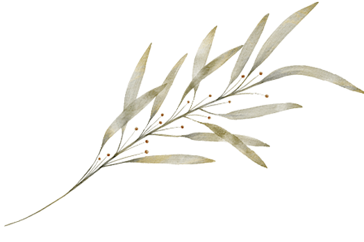 beige leaf branch horizontal rotated.png