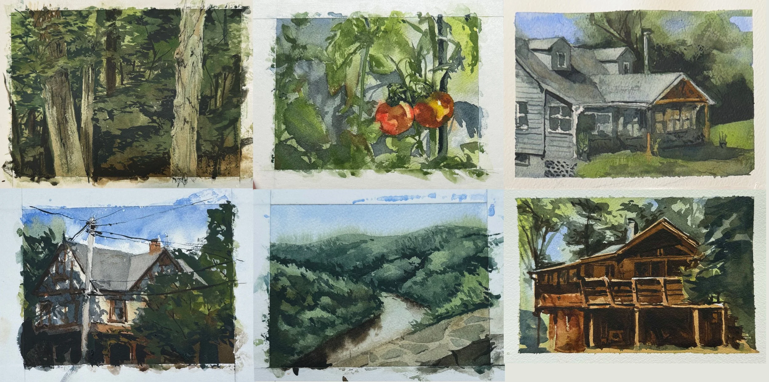 watercolor colalge.jpg