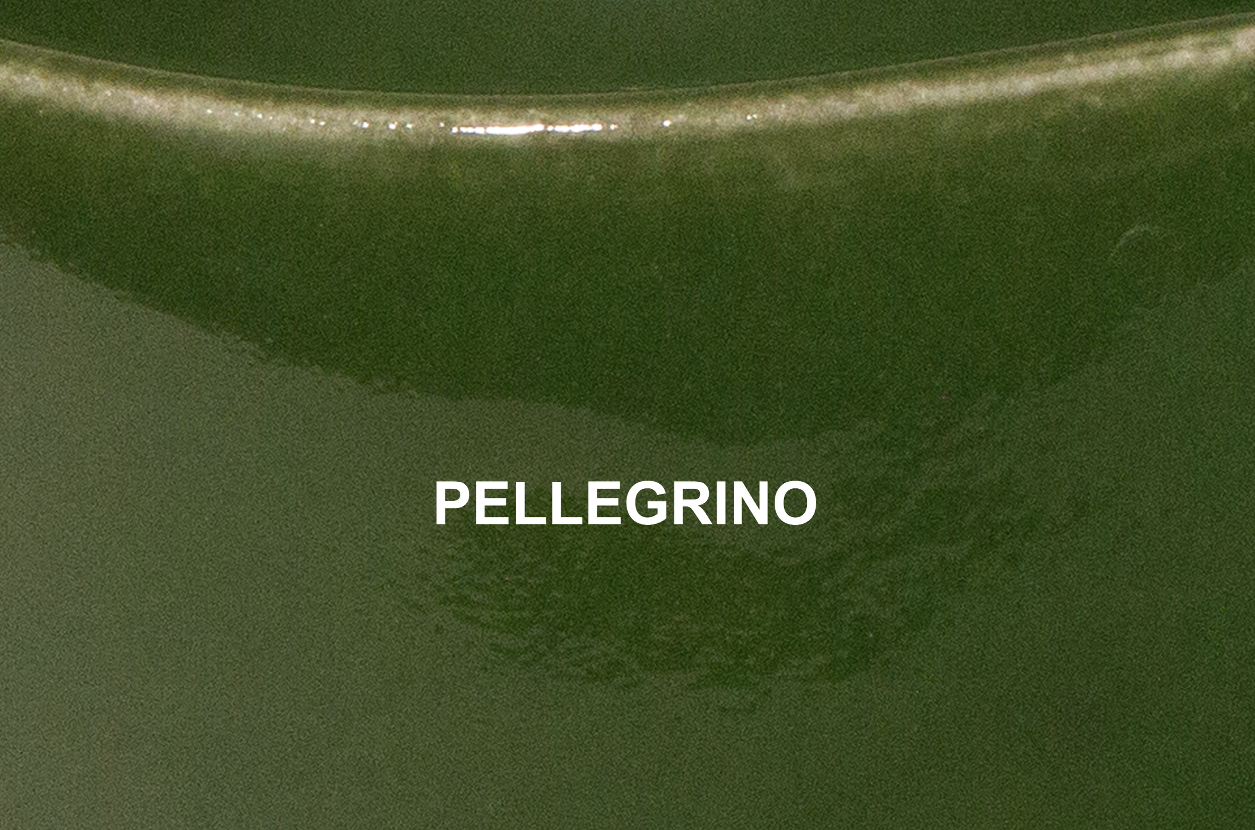 pellegrino.png