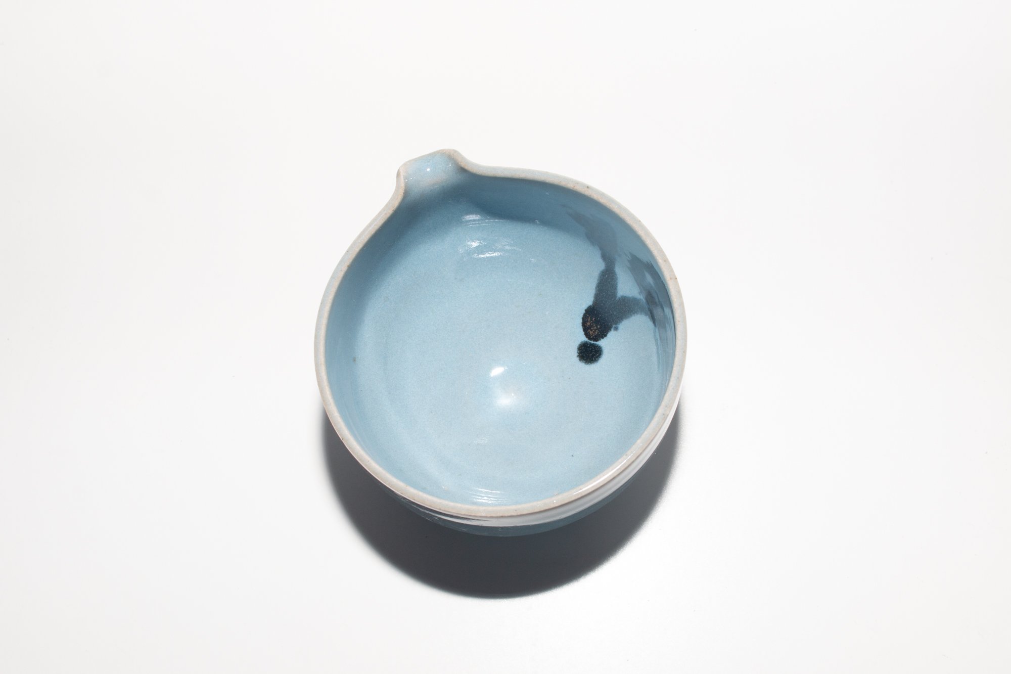BLUEBLOOM_2_7.jpg