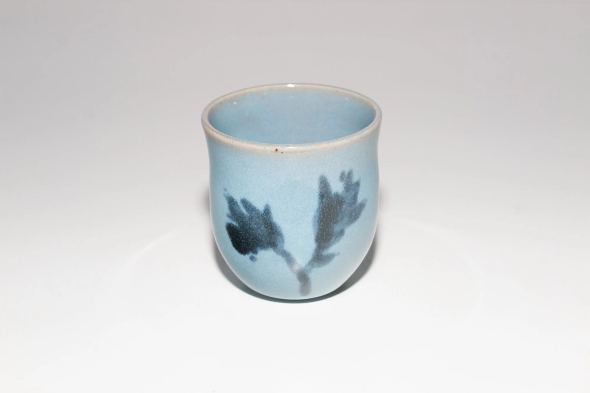 BLUEBLOOM_TULIP_2_3.jpg