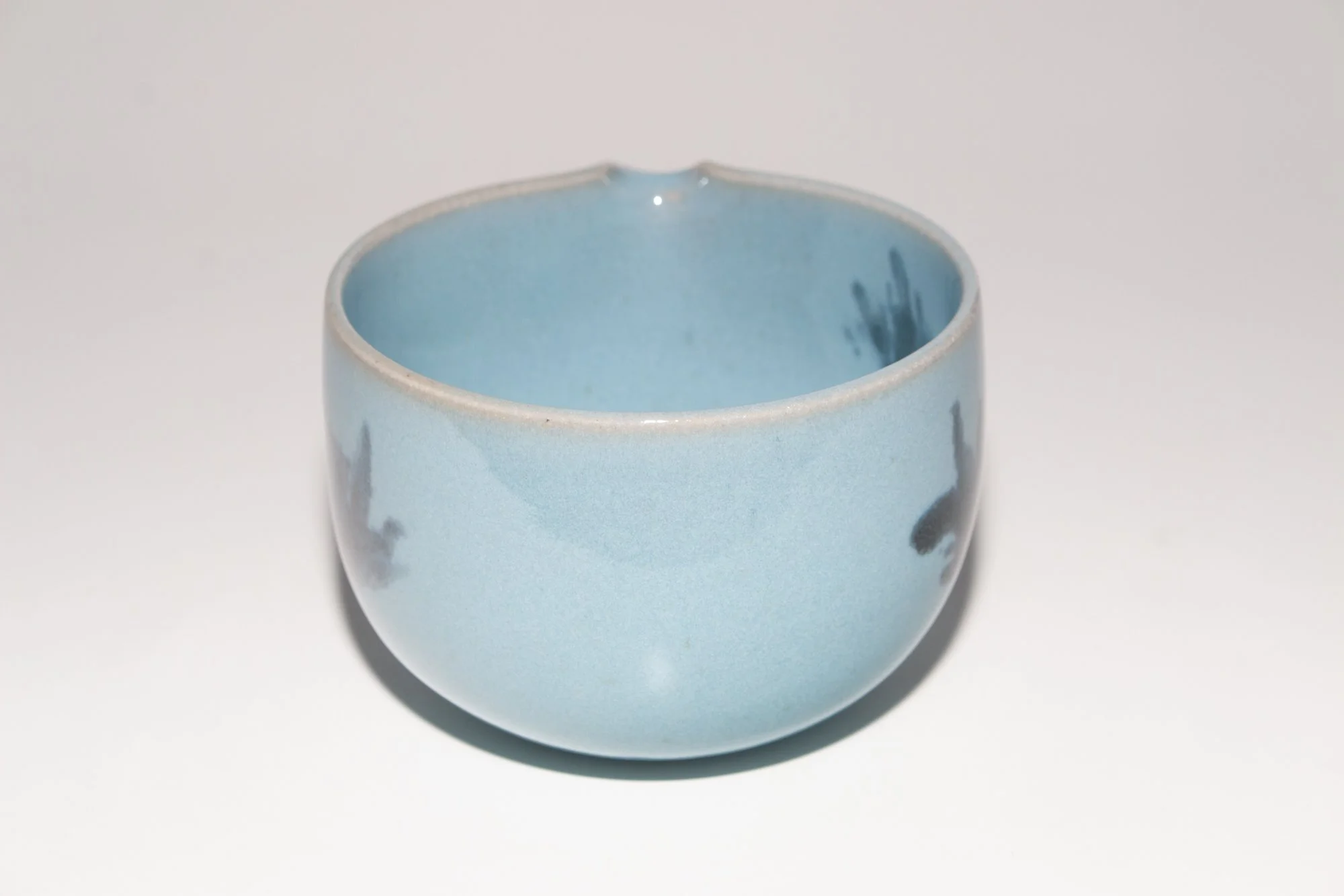 BLUEBLOOM_1_5.jpg