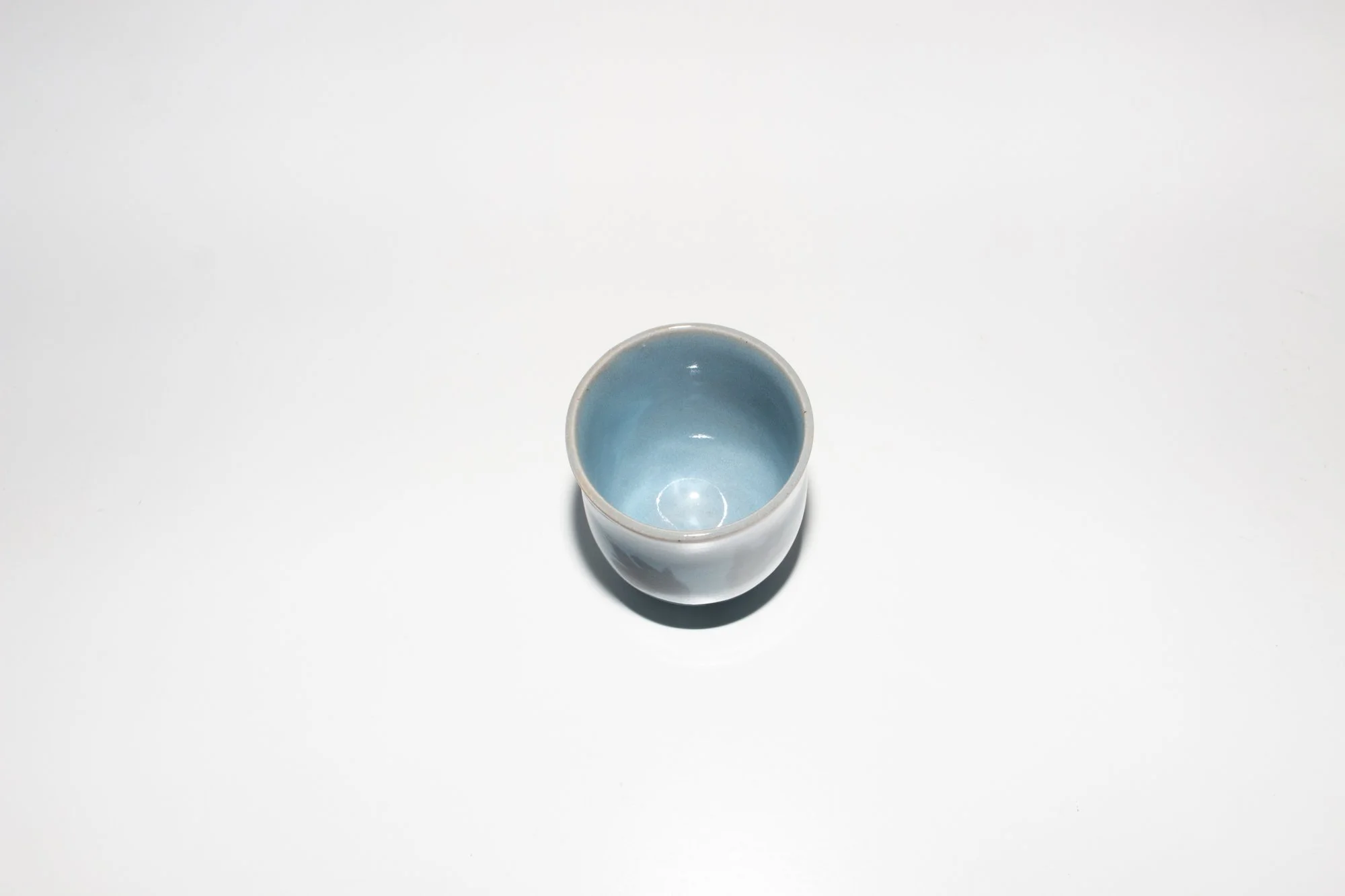 BLUEBLOOM_TULIP_2_2.jpg