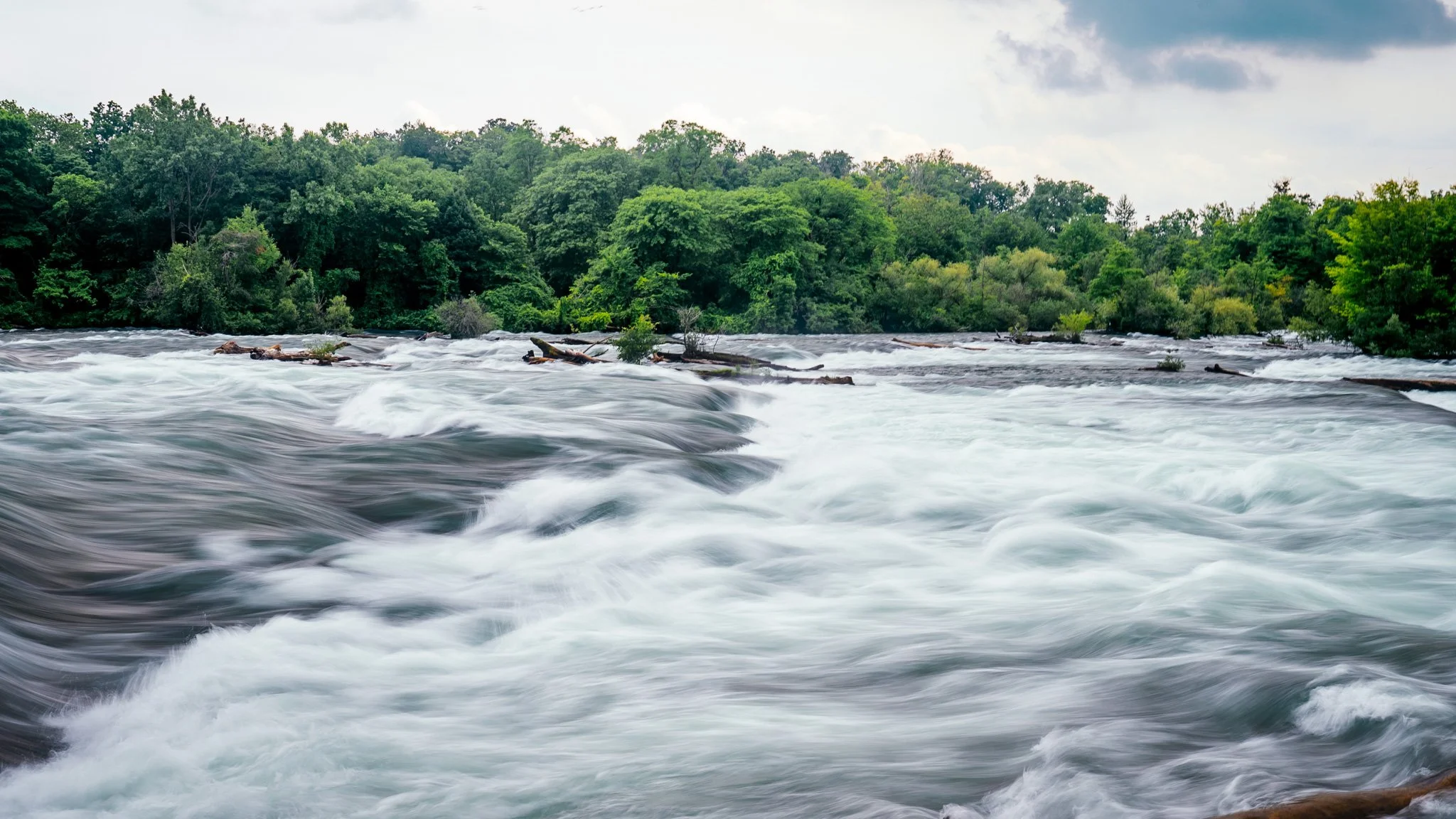 A river with rushing white water flowing over rocks and logs, surrounded by lush green trees under a cloudy sky.