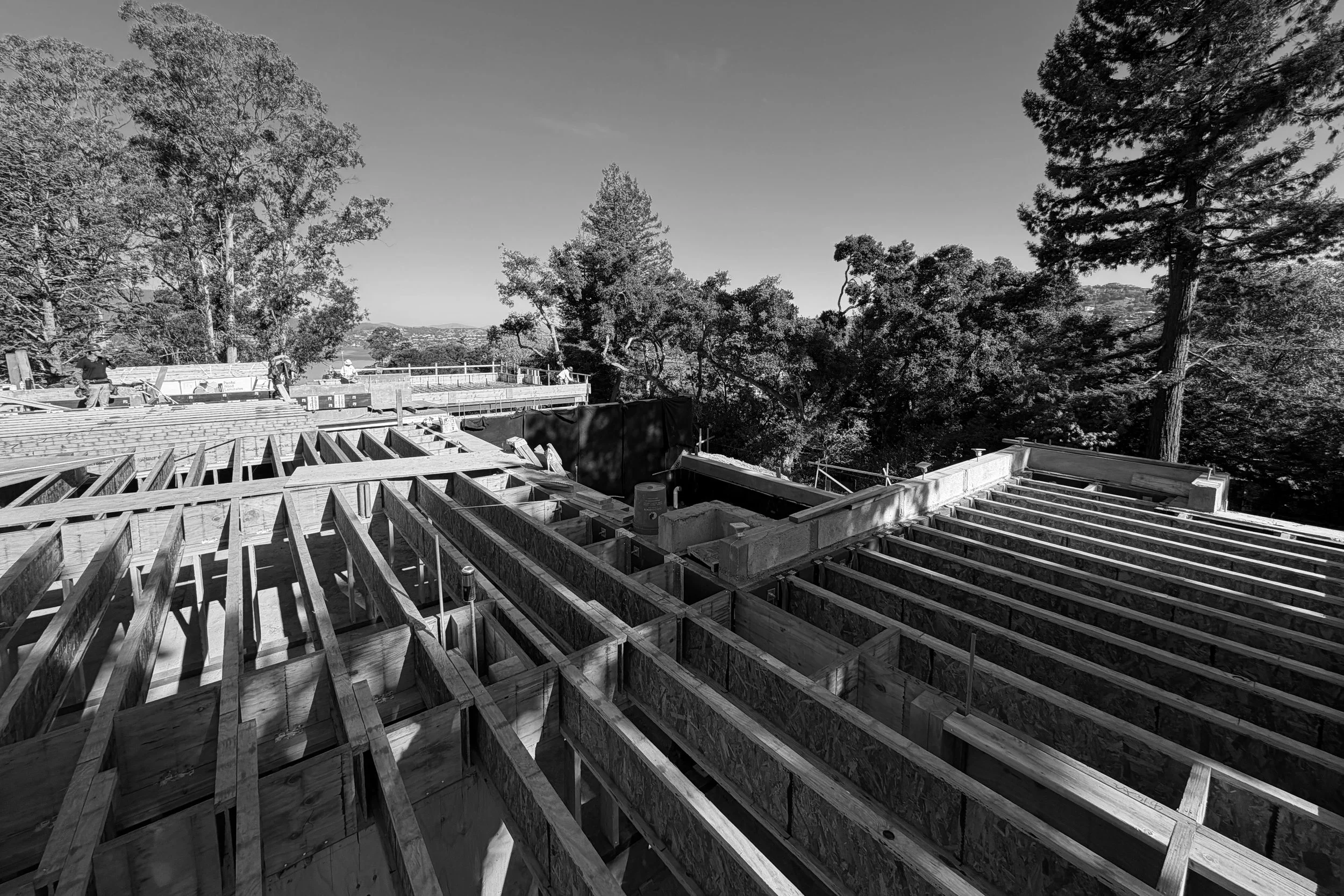 Ridge construction (1).JPG