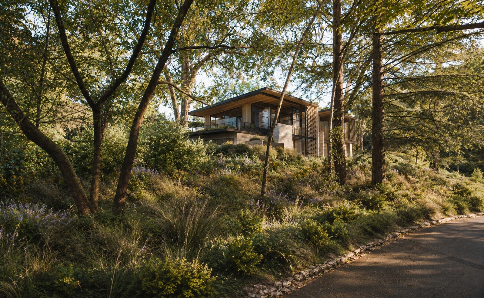 Canopy House Exterior (6).png