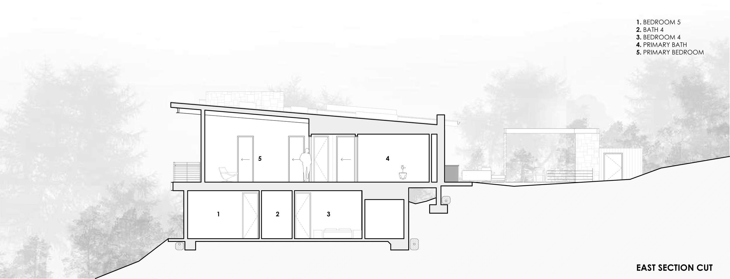 E Section Cut 18 Madrona.png