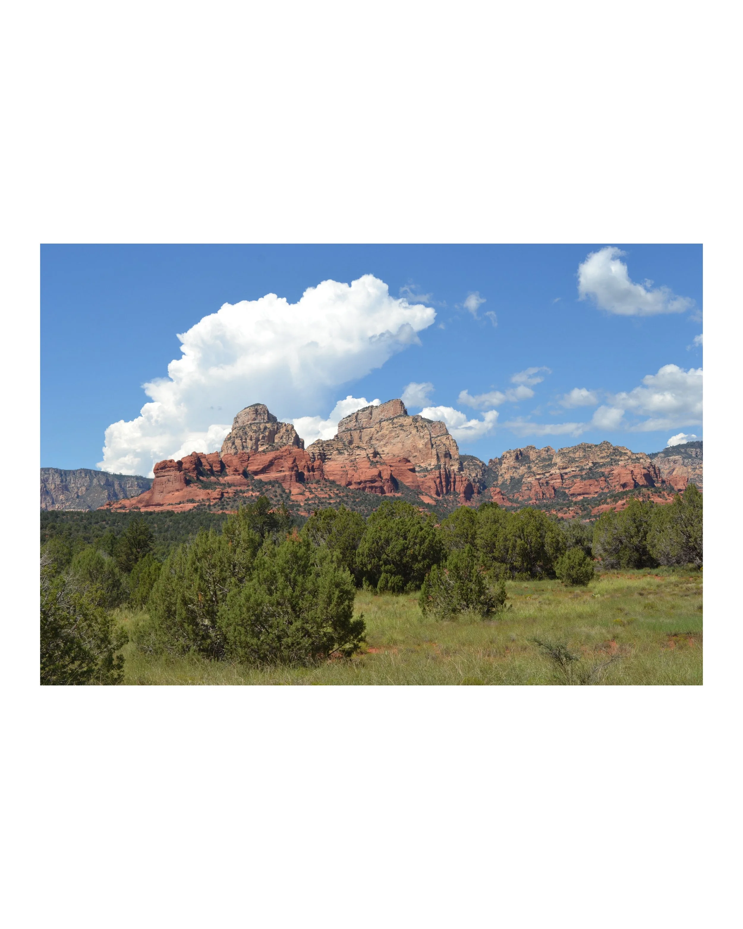 Photo Feb 25 2026, 4 55 44 PM.jpg