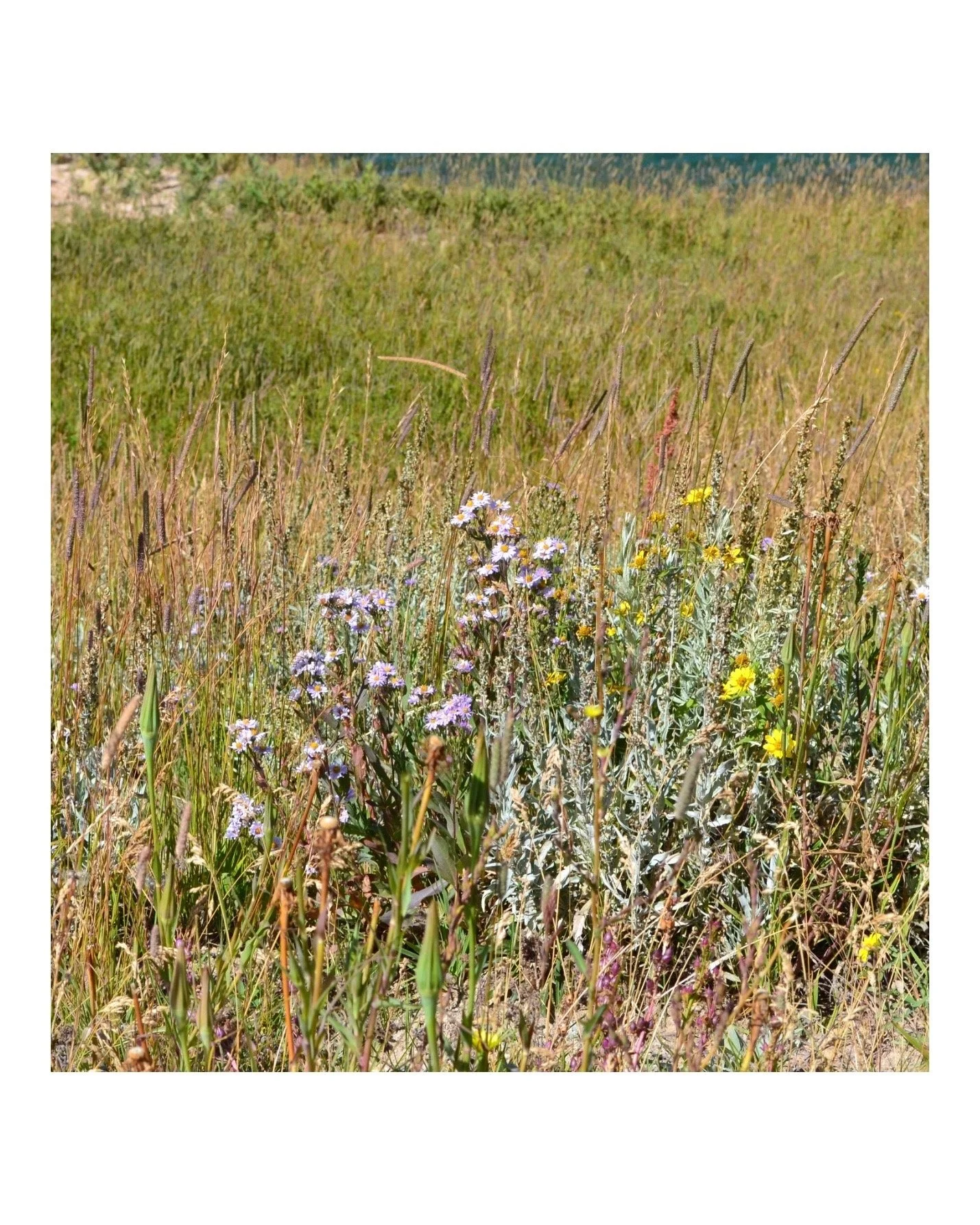 Photo Oct 25 2024, 7 00 39 PM.jpg