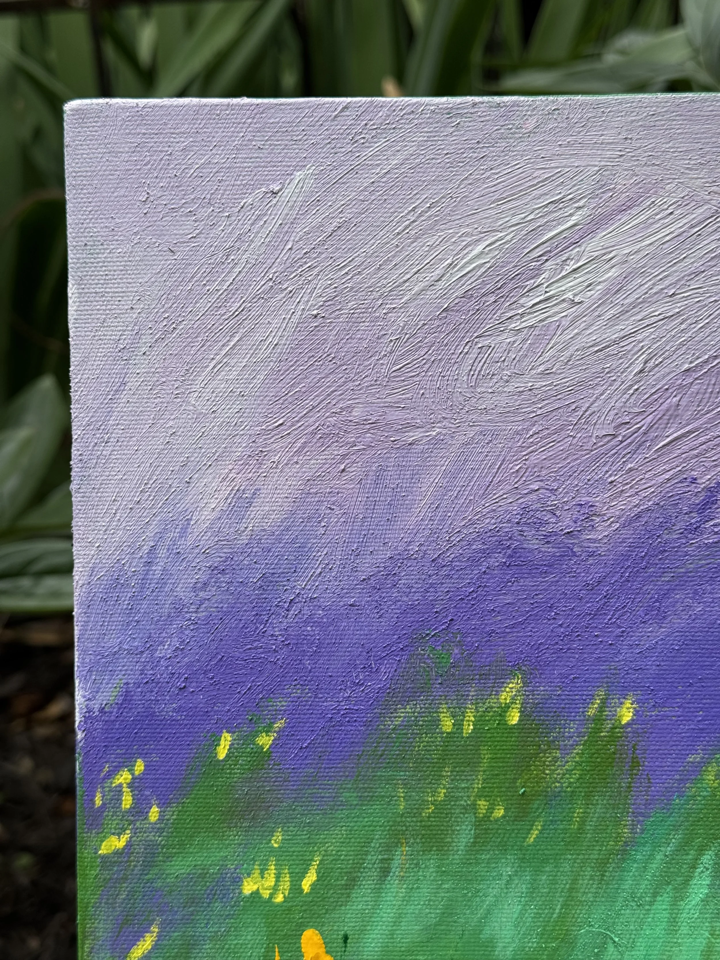 IMG_6625.jpeg