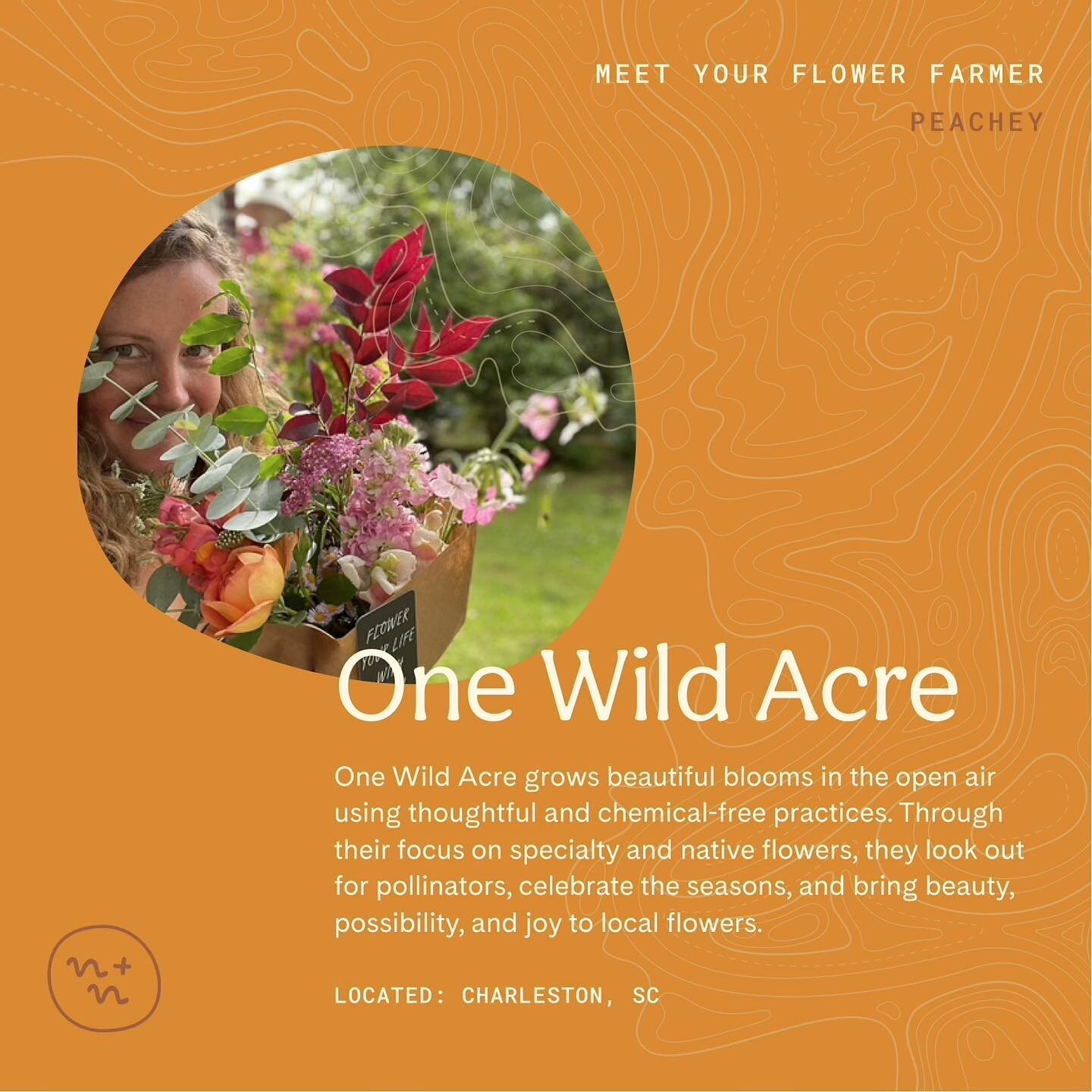 I reached out to Peachey @ouronewildacre when I first moved here and wanted to offer flowers to new families. I loved her push for slow flowers and prioritizing natives, AND she makes the most beautiful bouquets. As a mom herself she was down to help