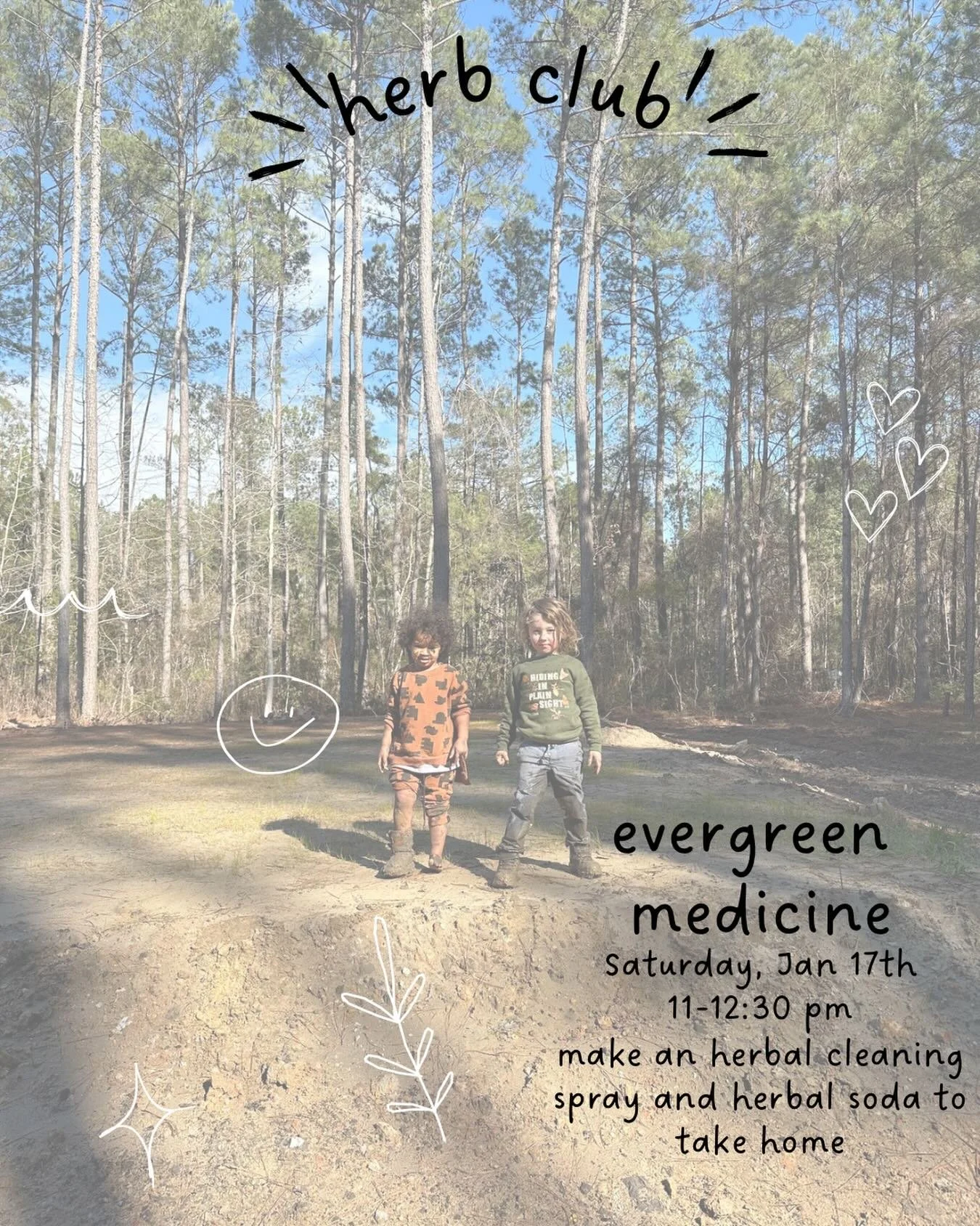 Herb club next Saturday! Jan 17th 11 am - 12:30 pm, Ackerman park in WA

Bring leftover needles from your holiday wreaths or Christmas trees and we&rsquo;ll start a household cleaning spray together for you to use at home; we will also walk around to