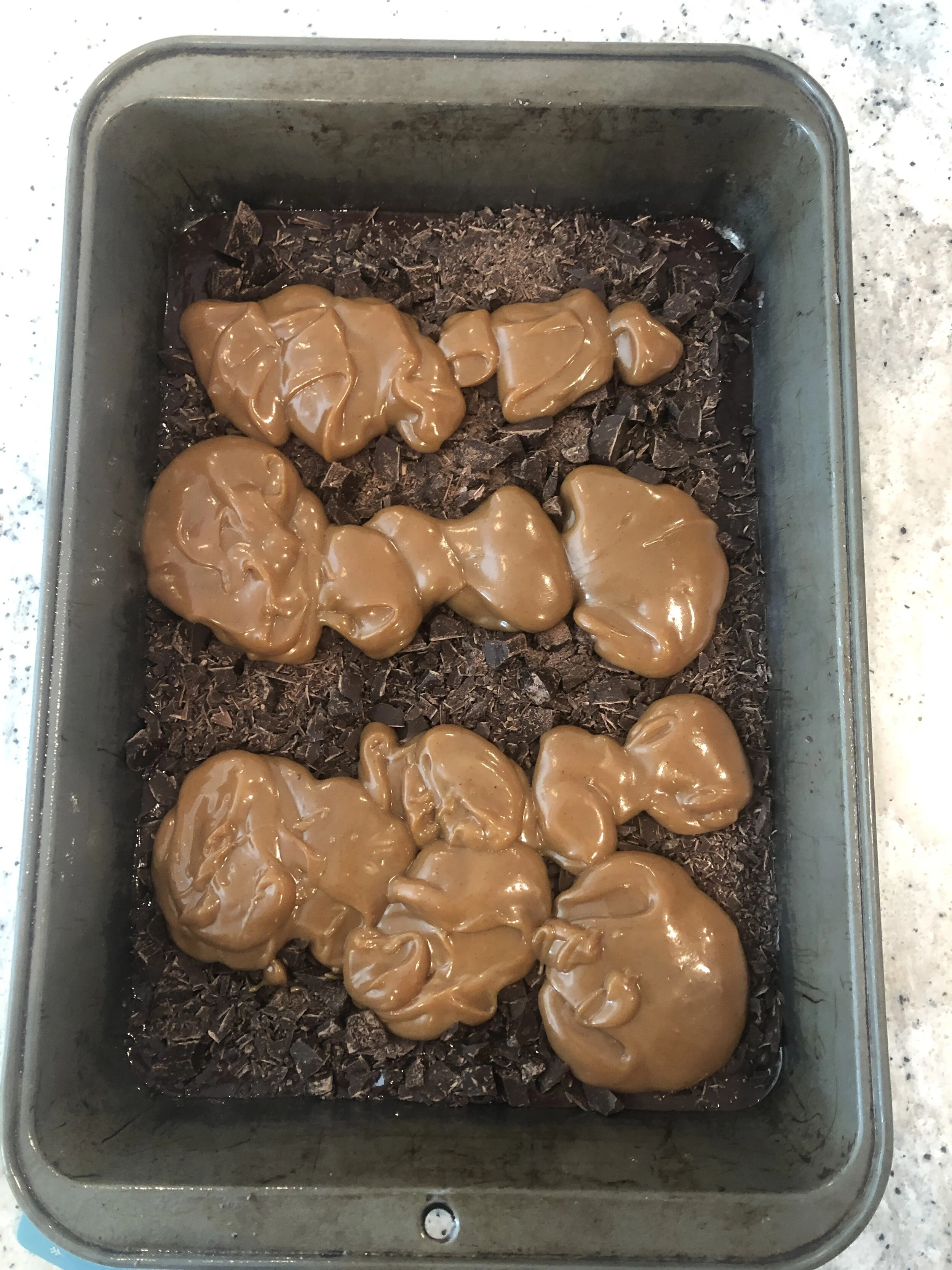 carmel revel carmel.JPG