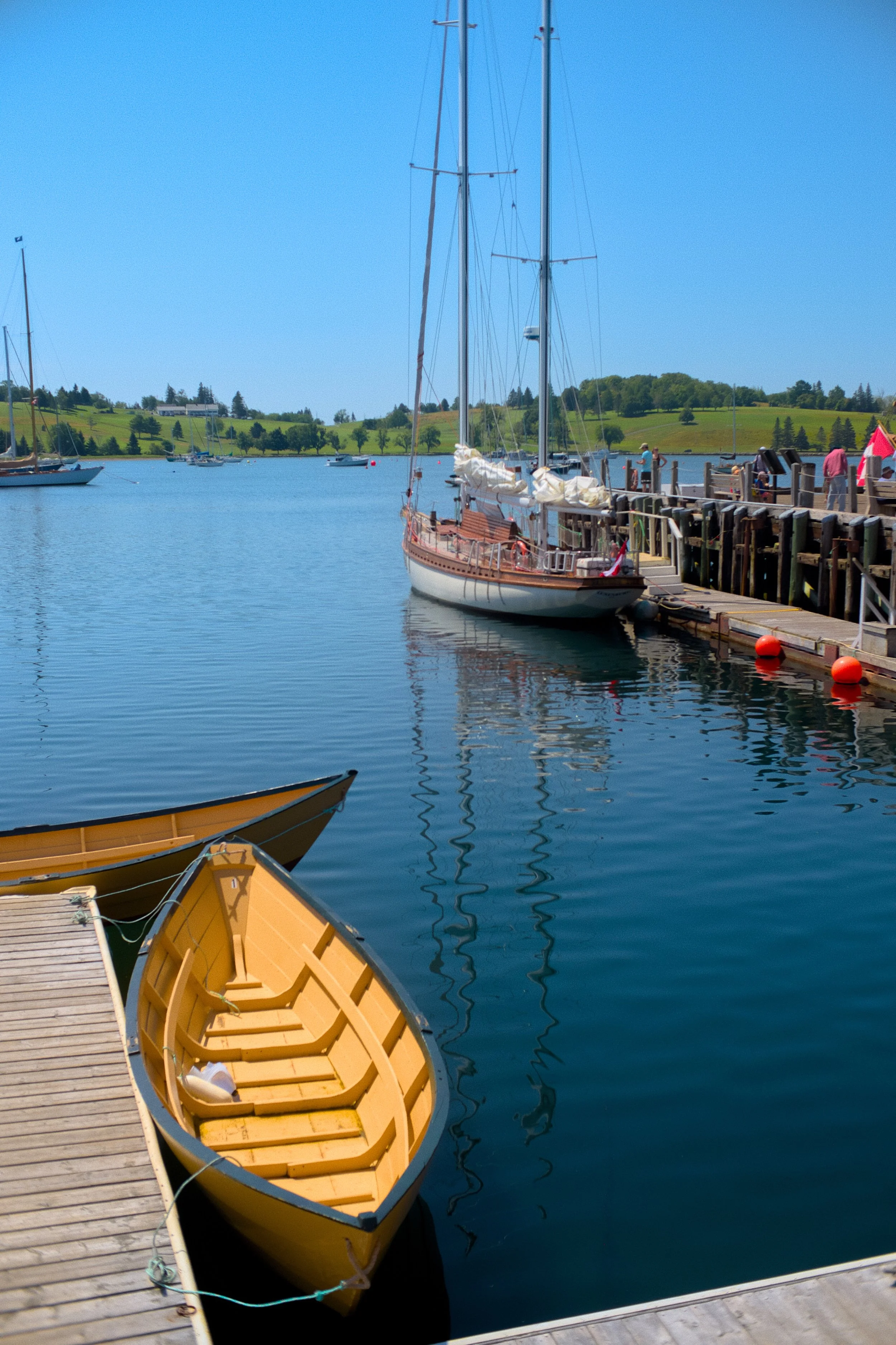 DSCF2339.jpg