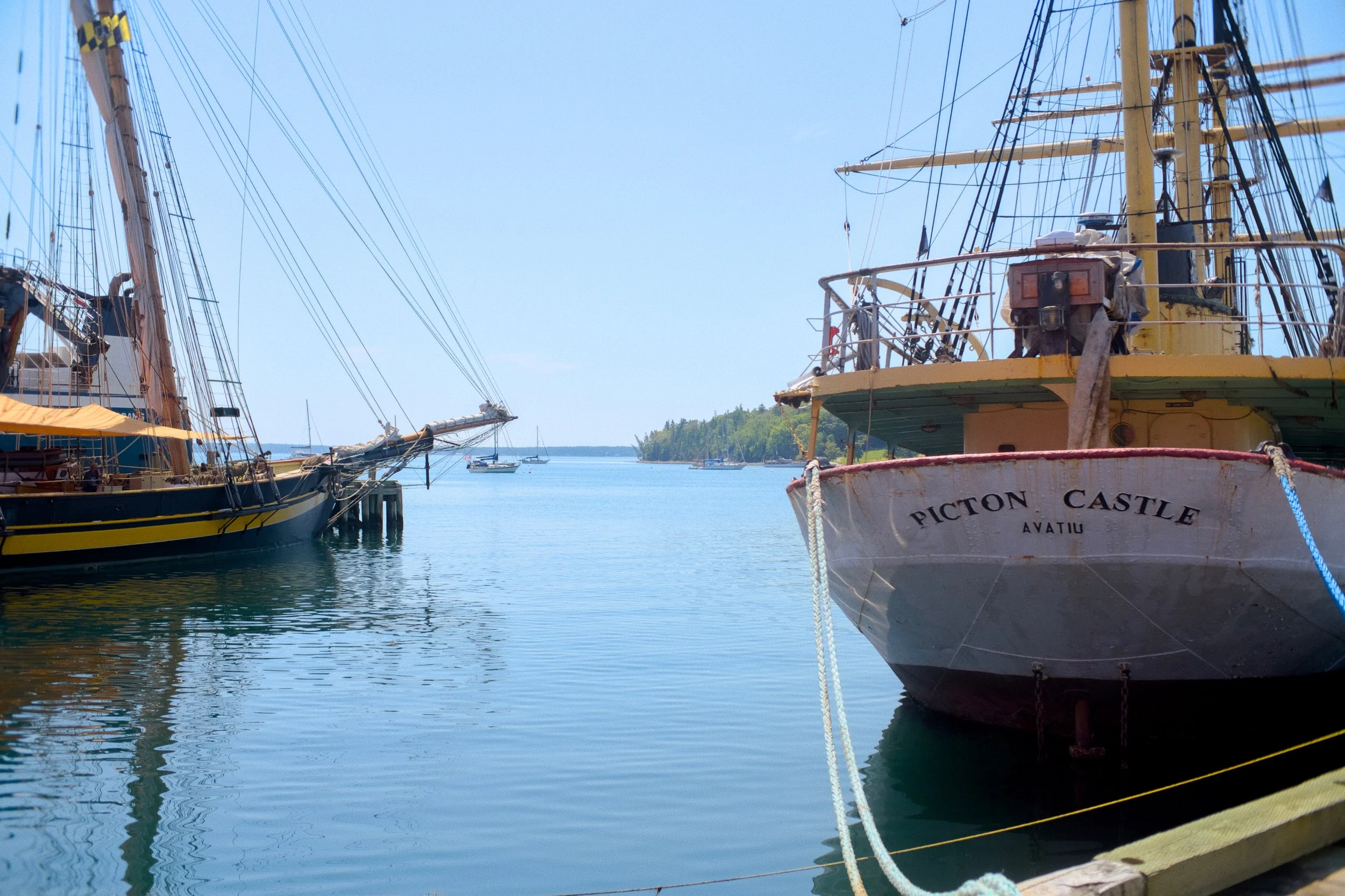 DSCF2345.jpg
