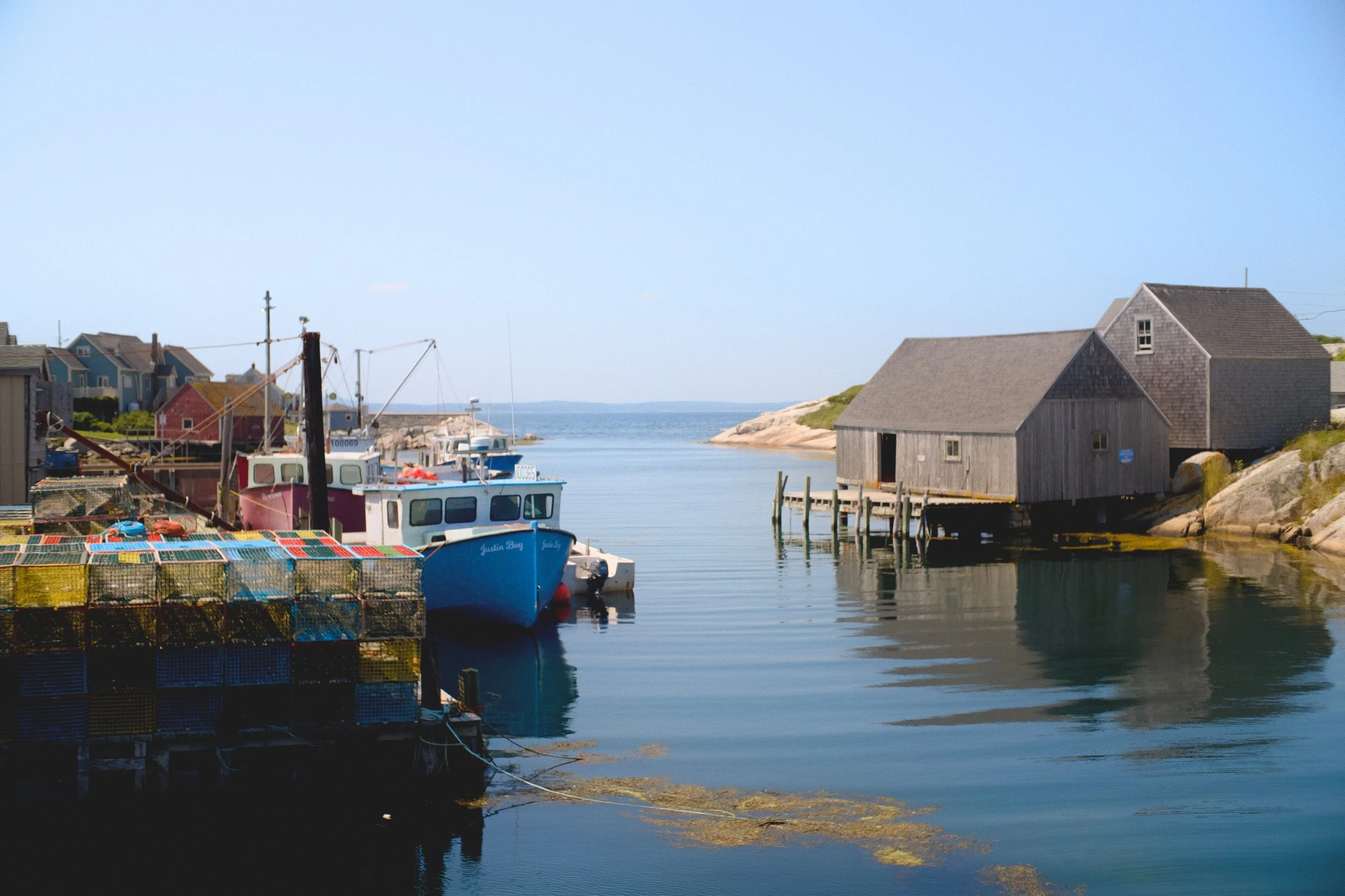DSCF2367.jpg