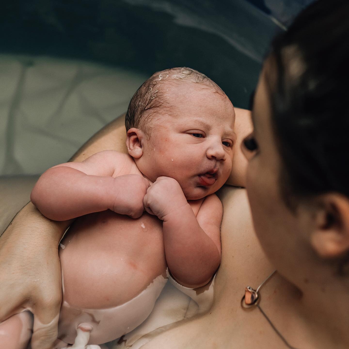 It was you all along 💕
.
.
.
.
.
.
.
#sunshinecoastbirthphotography #sunshinecoastbirthphotographer #sunshinecoastphotographer #sunshinecoastnewbornphotographer #sunshinecoastbabyphotographer #sunshinecoastmums #sunshinecoastmumsandbubs #birthphotog