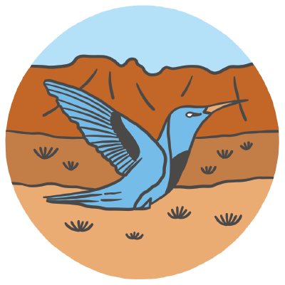 Hummingbird.png