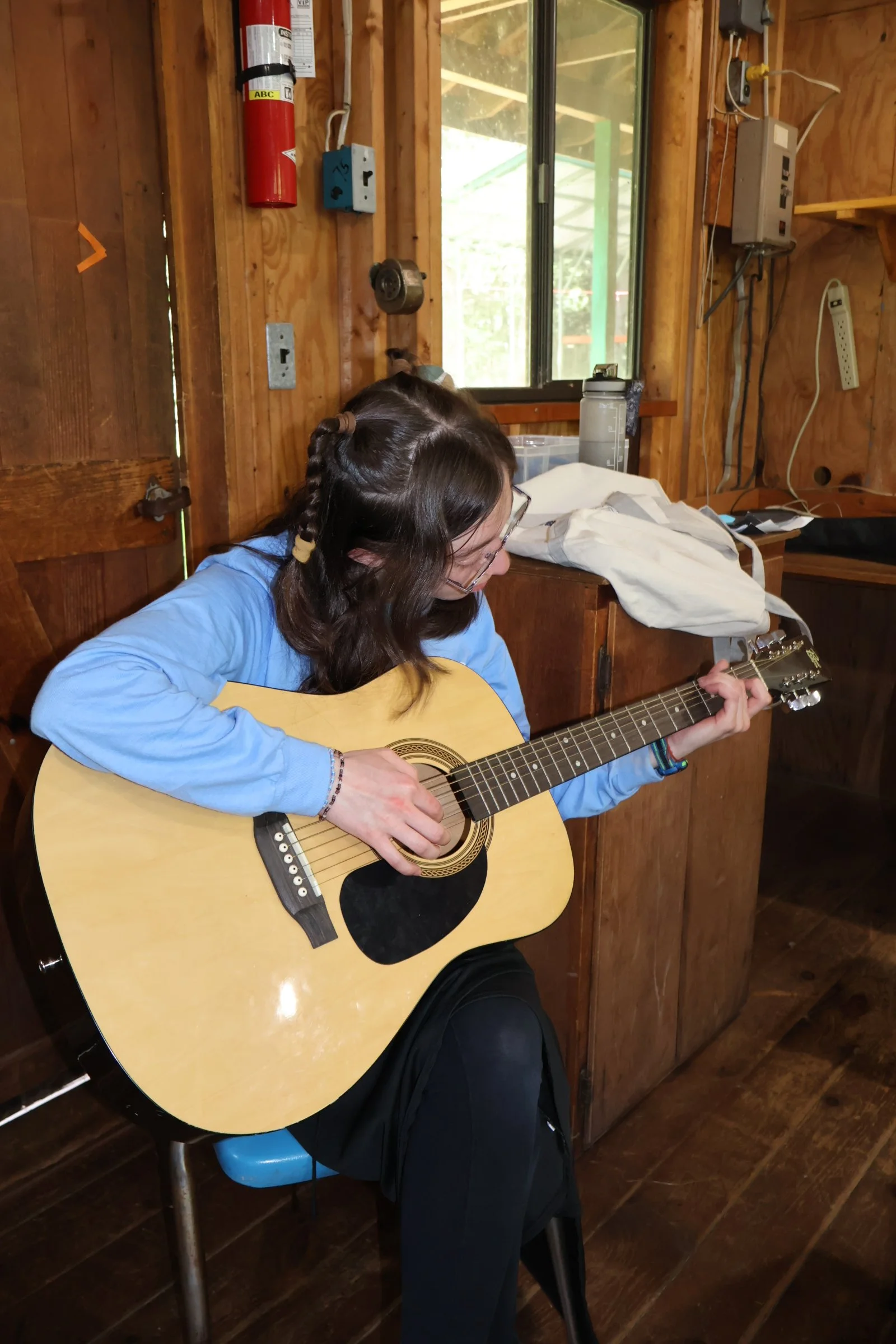 Guitar
