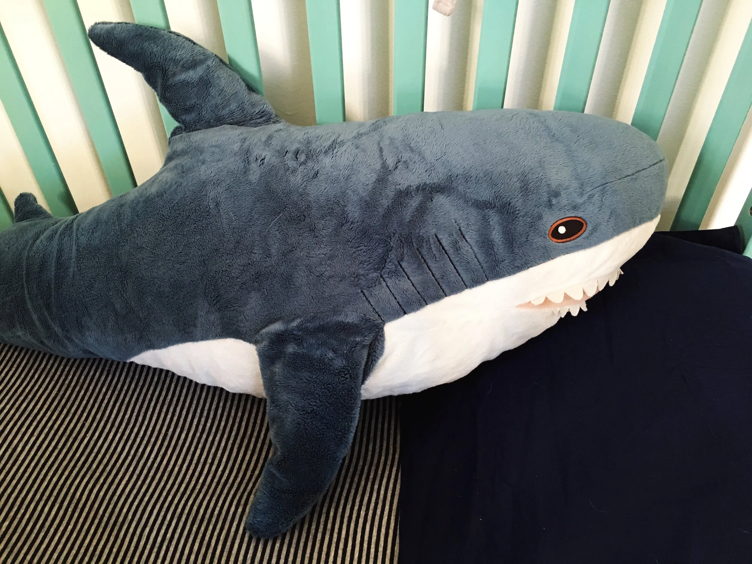 2017-02-22 13.44.13.jpg