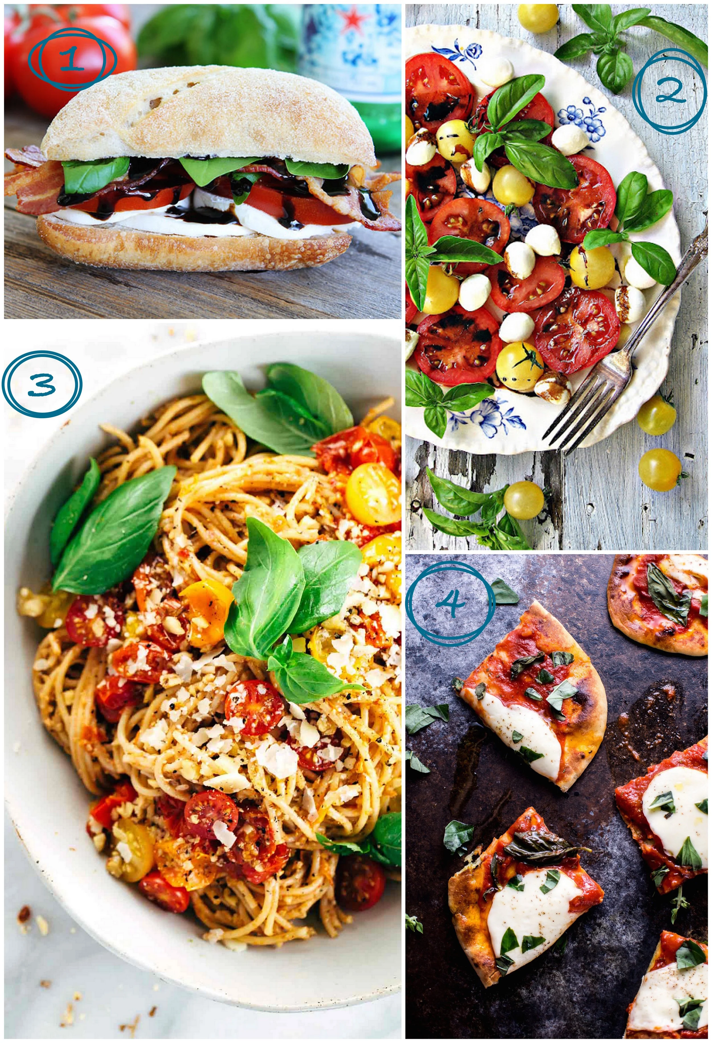 Uses-for-Sweet-Basil-Cassia-Co.jpg