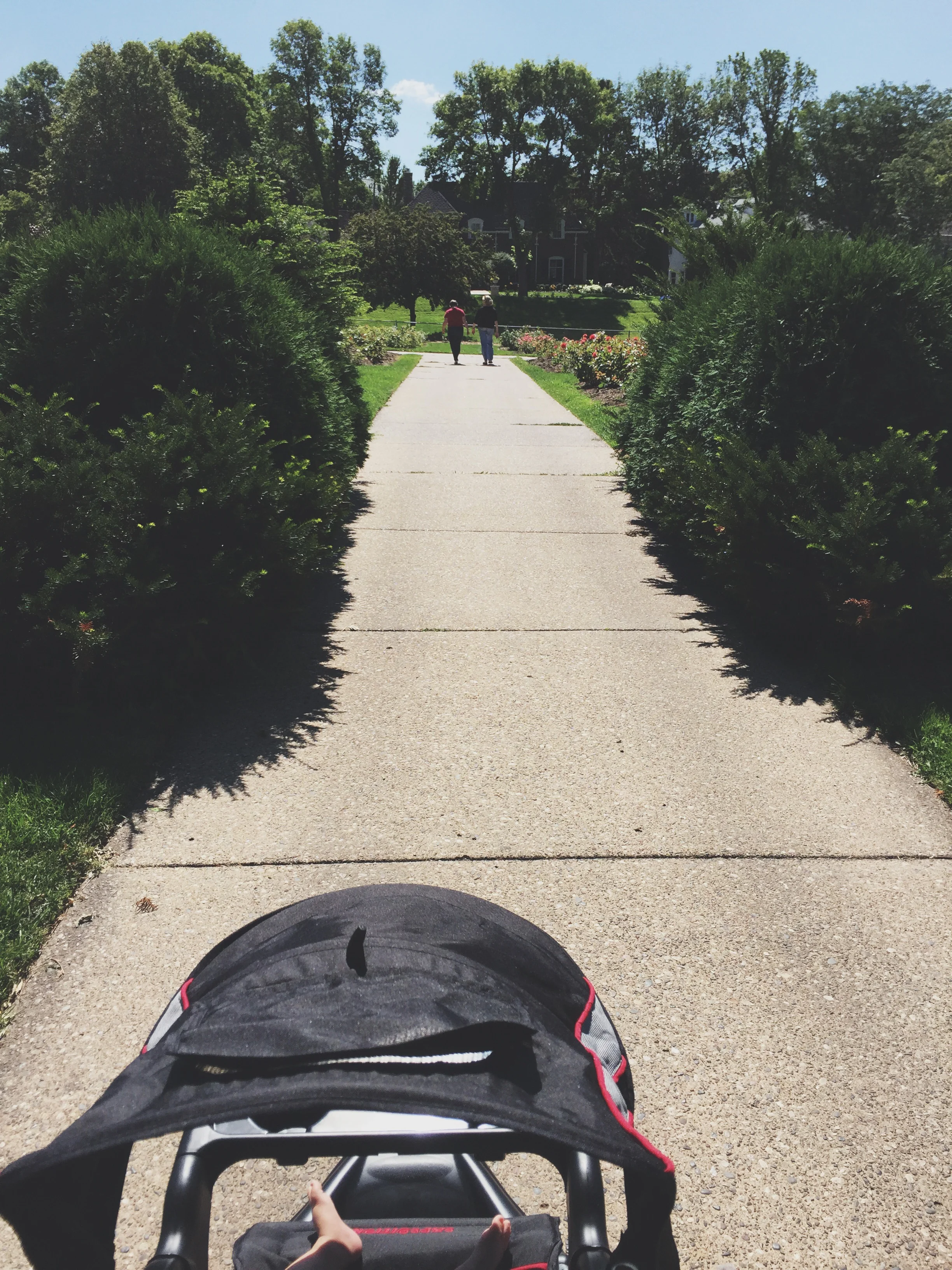 Walking to the rose garden