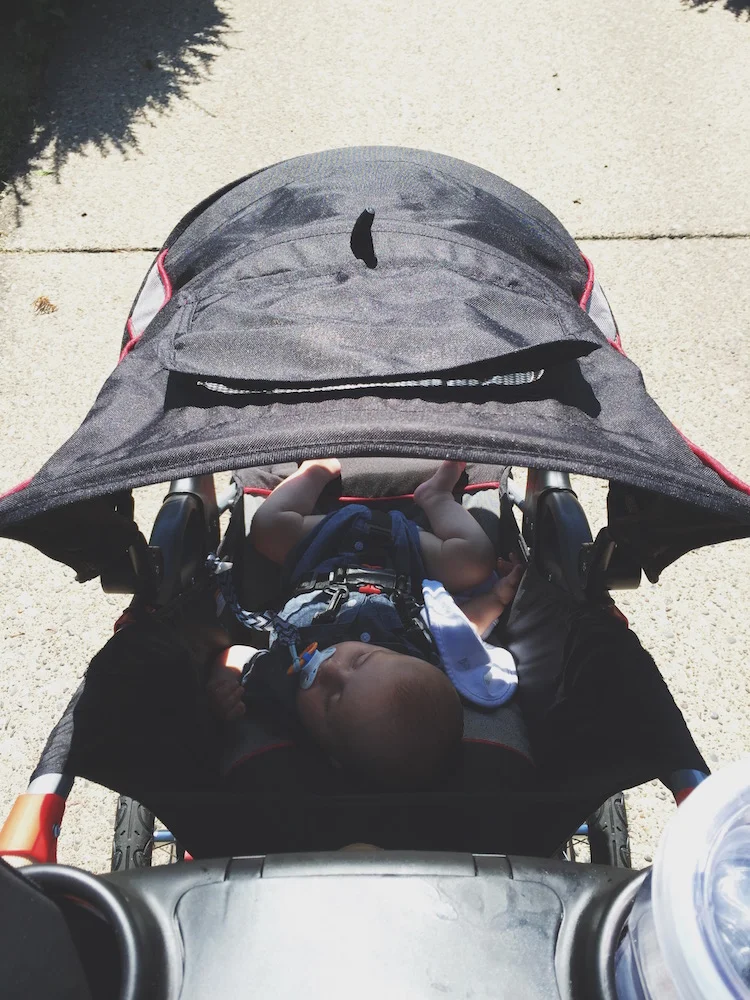 Walking to the rose garden