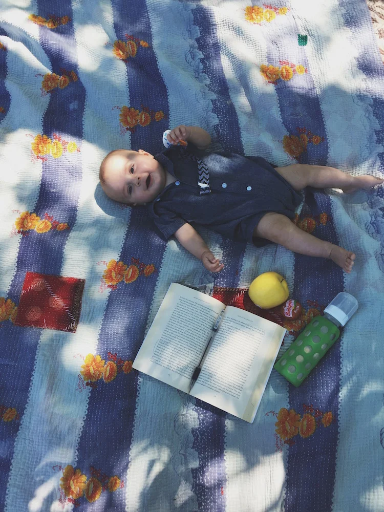 Picnic at the Lyndale Park Rose Garden
