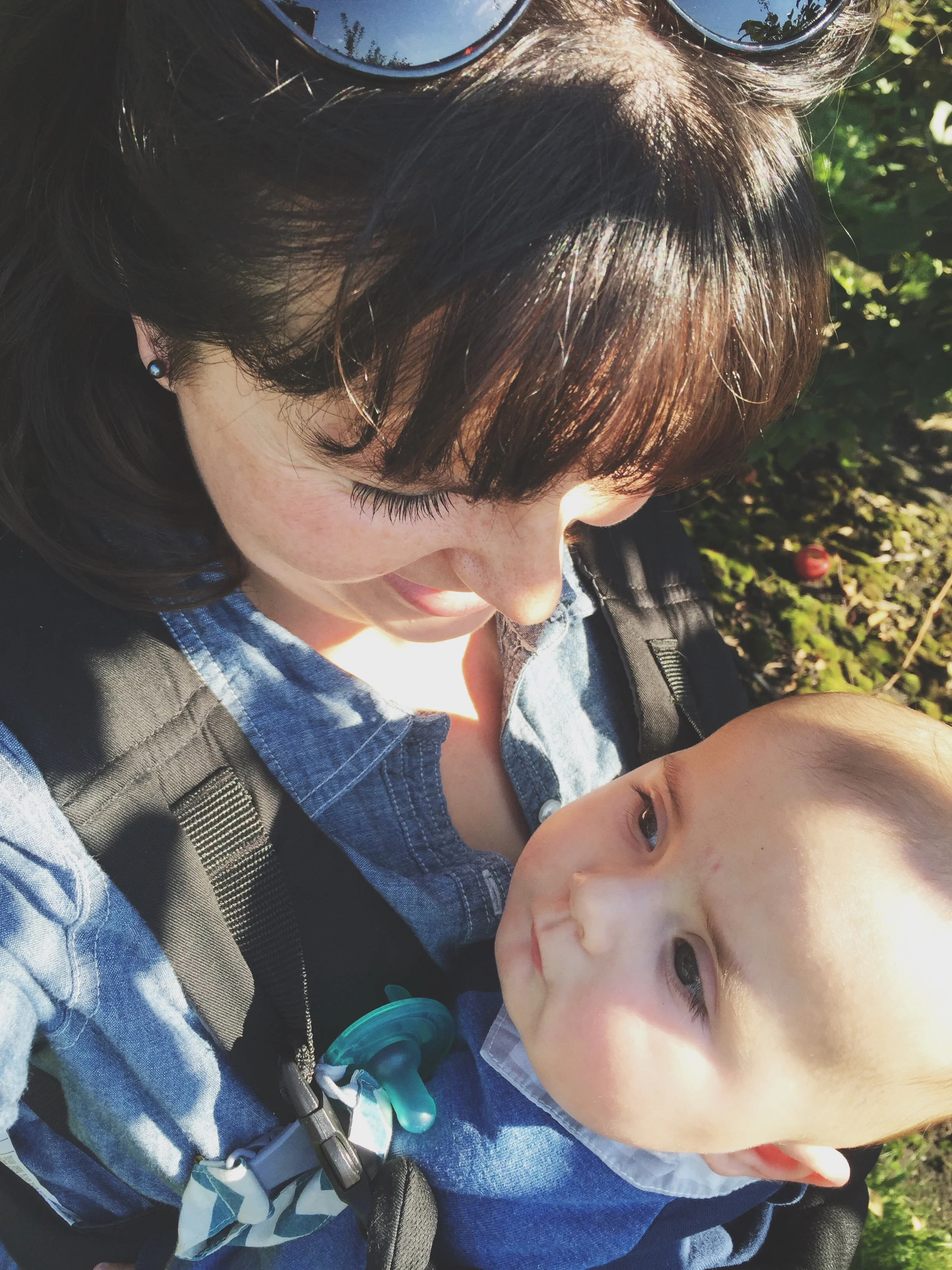 Apple Orchard | Cassia &amp; Co.