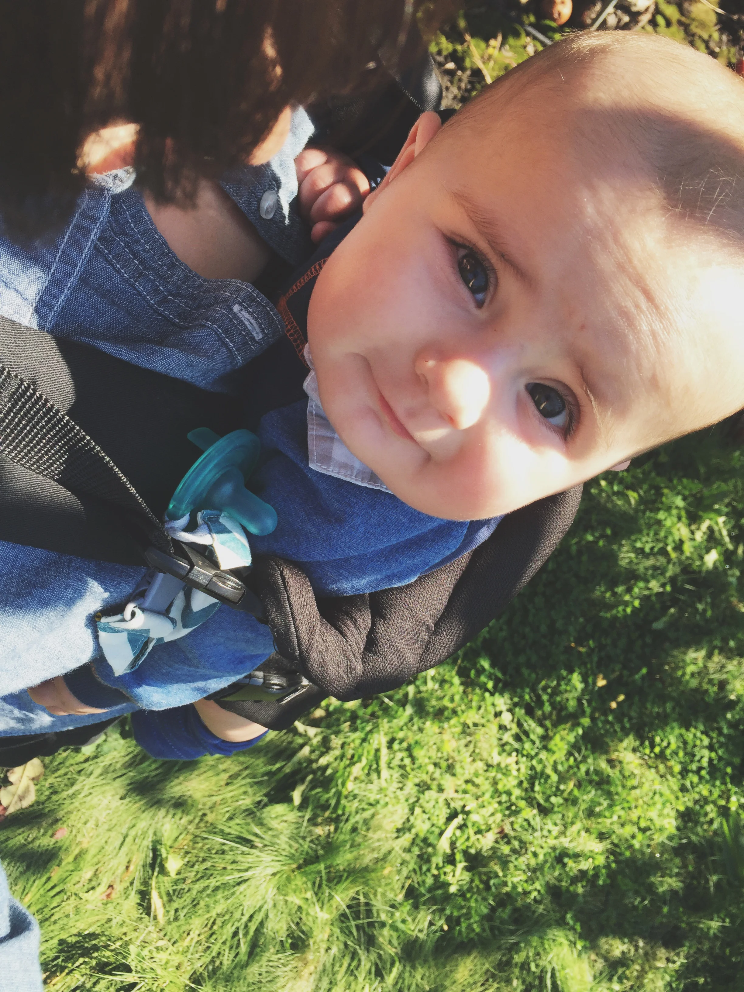 Apple Orchard | Cassia &amp; Co.