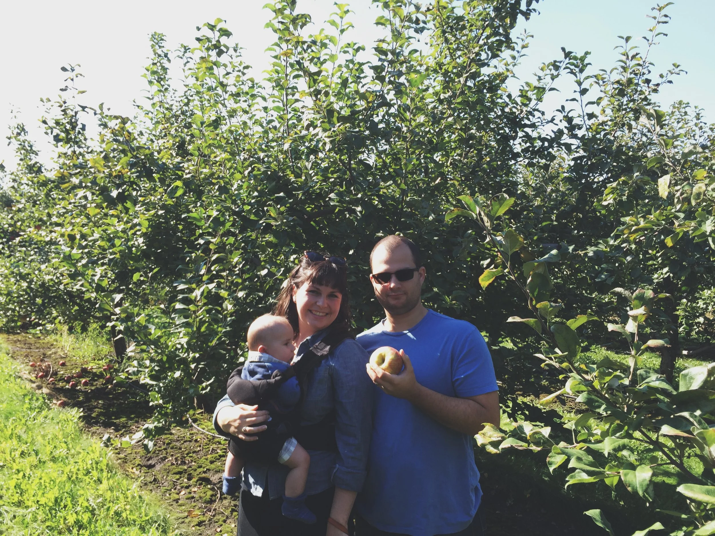 Apple Orchard | Cassia &amp; Co.