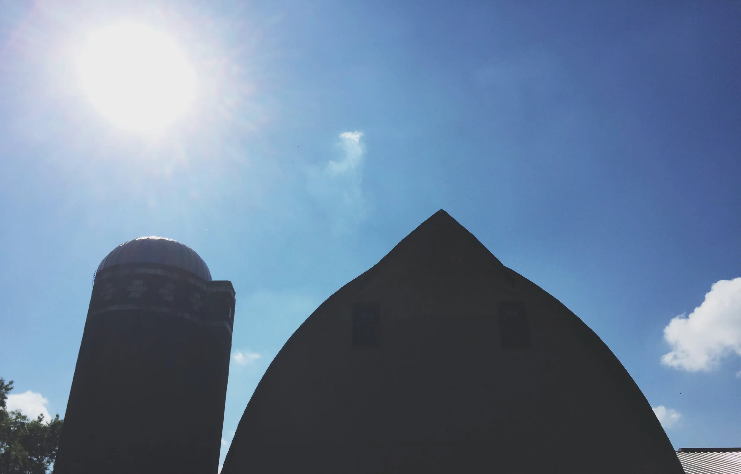 Apple Orchard | Cassia &amp; Co.