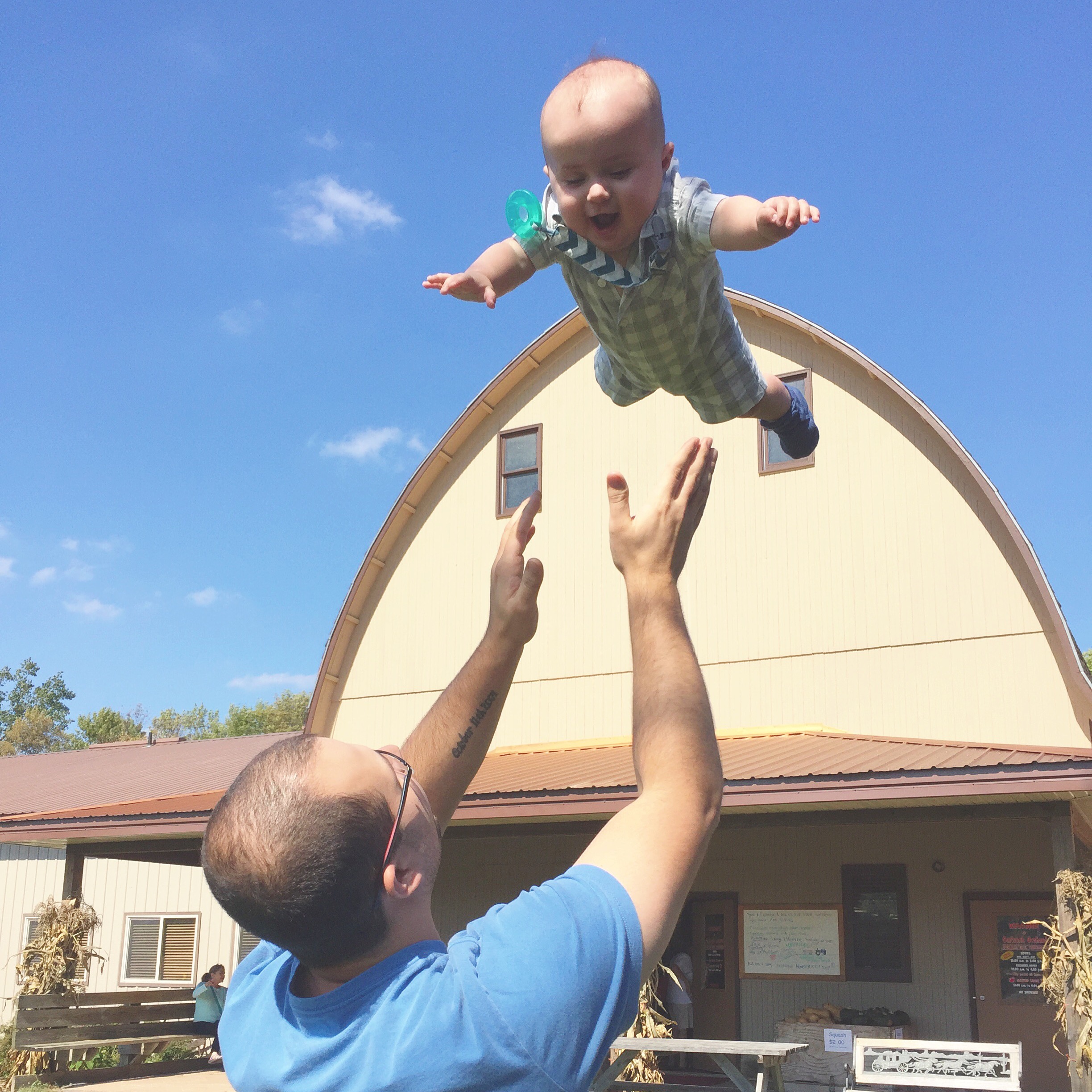 Apple Orchard | Cassia &amp; Co.