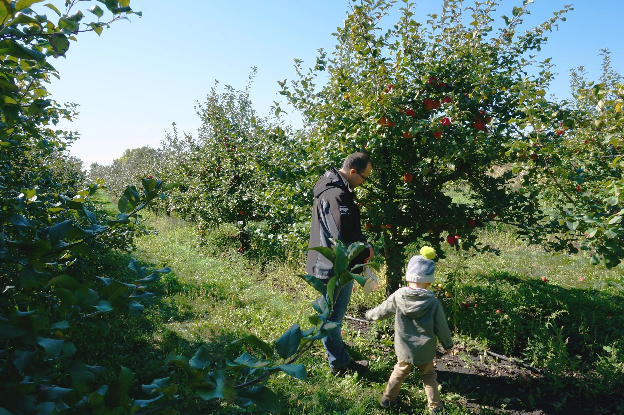 4 Finn and daddy.jpg