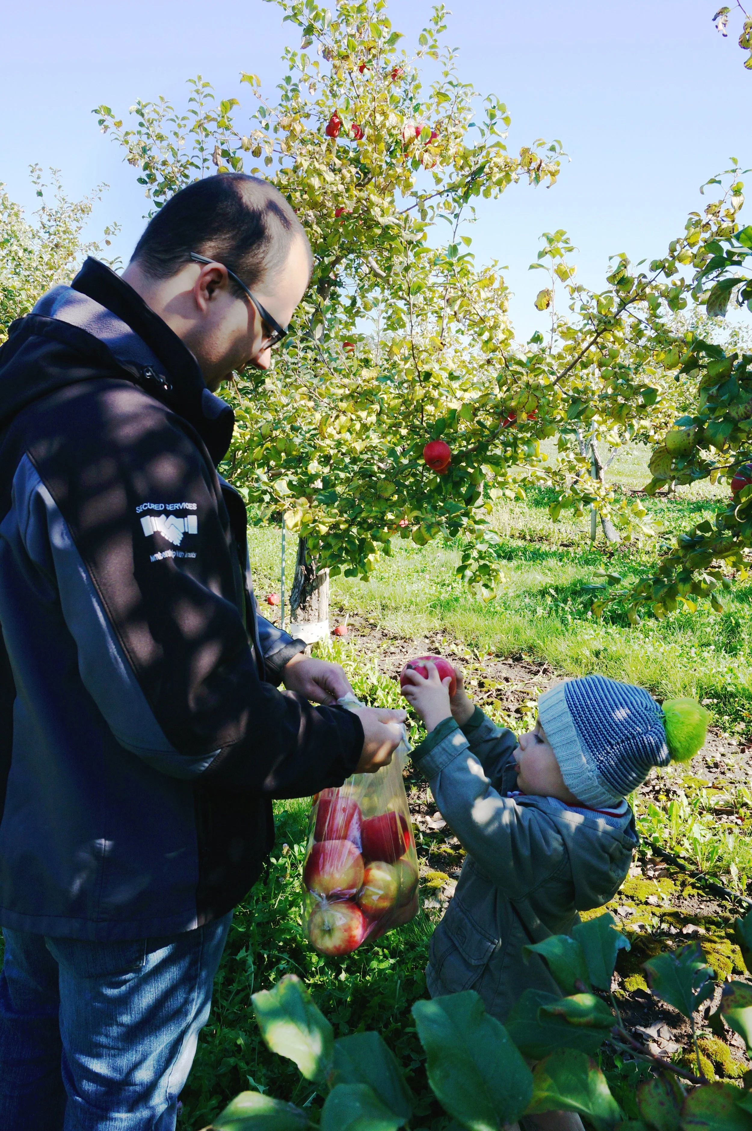 8 Finn helping dadding.jpg