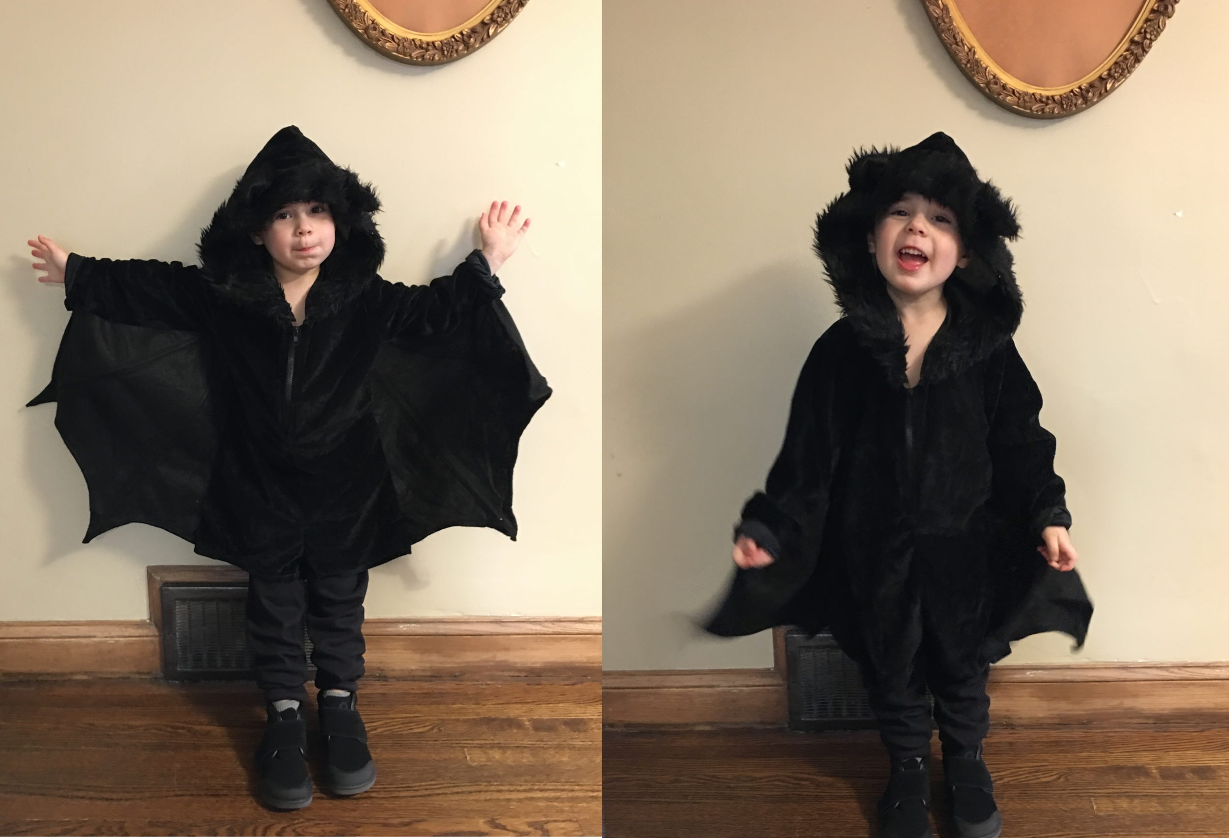 Finn bat costume.png