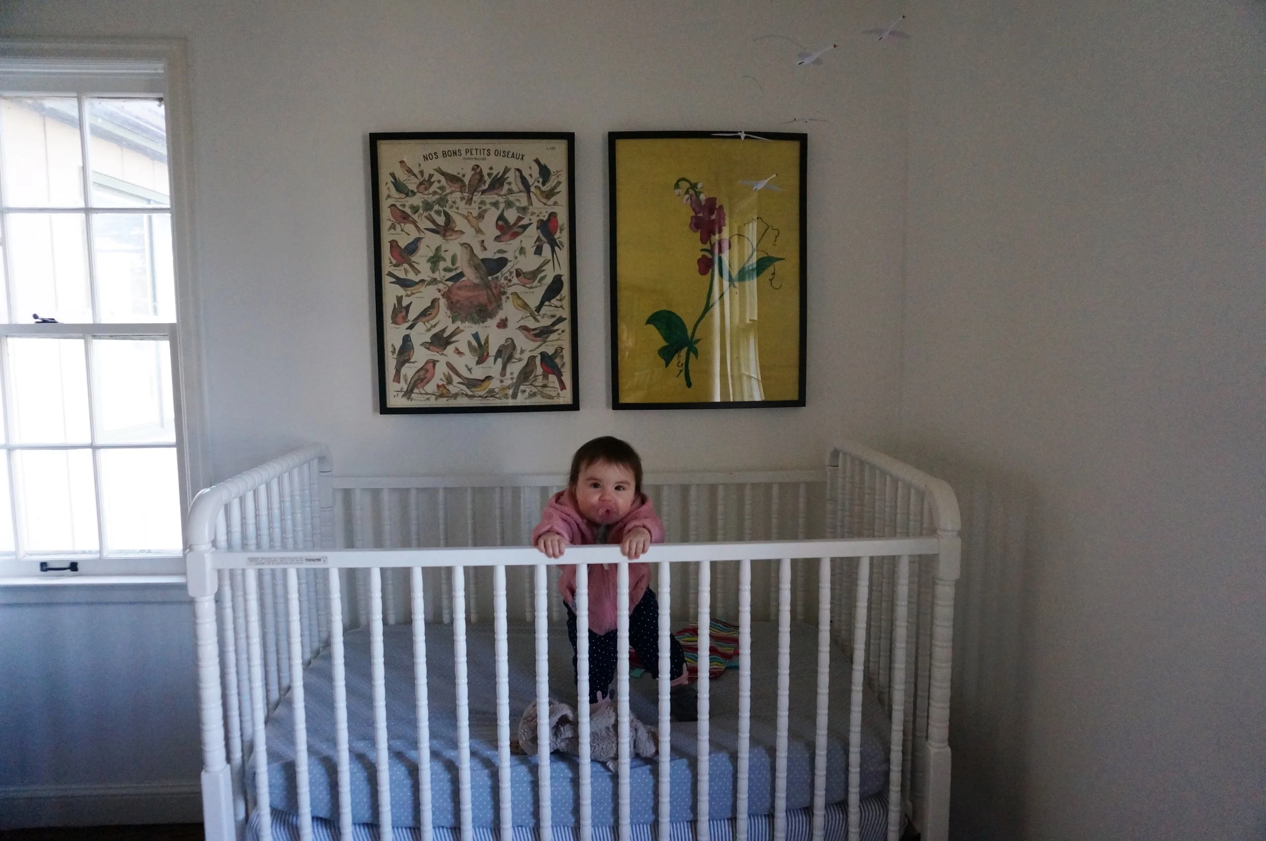 Penelope's Room | Cassia & Co.