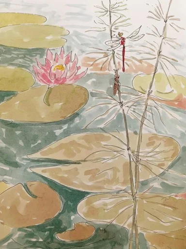 dragonfly at pond.png